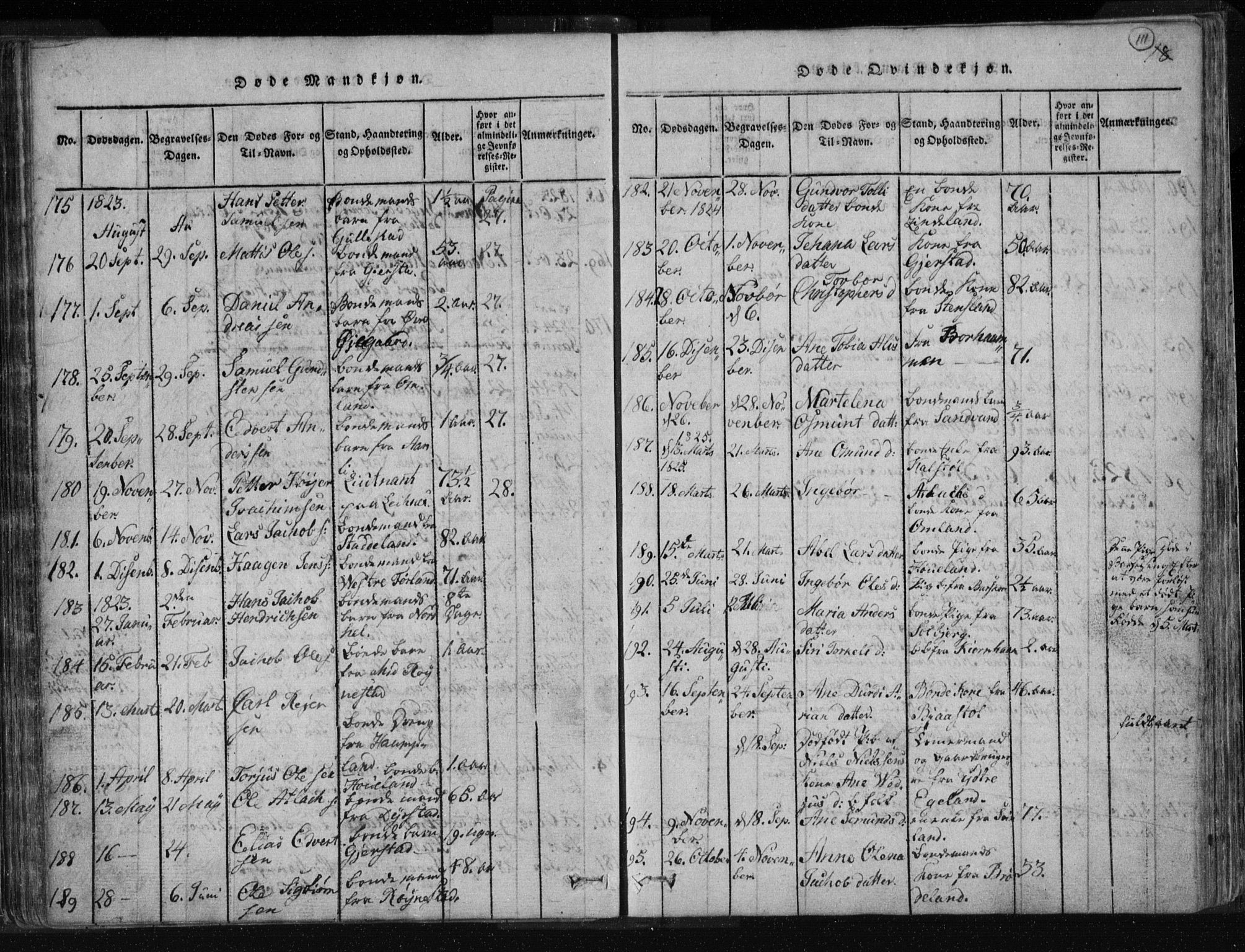Kvinesdal sokneprestkontor, AV/SAK-1111-0026/F/Fa/Fab/L0003: Ministerialbok nr. A 3, 1815-1829, s. 111