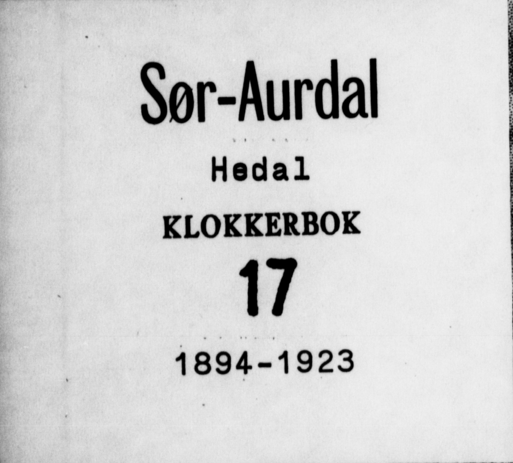 Sør-Aurdal prestekontor, SAH/PREST-128/H/Ha/Hab/L0017: Klokkerbok nr. 17, 1894-1923