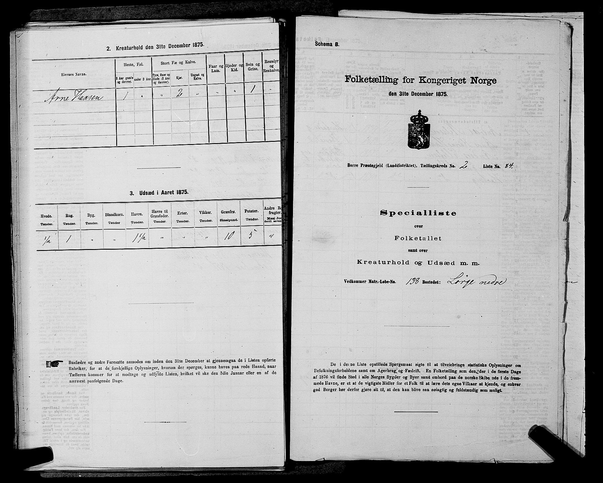 SAKO, Folketelling 1875 for 0717L Borre prestegjeld, Borre sokn og Nykirke sokn, 1875, s. 493