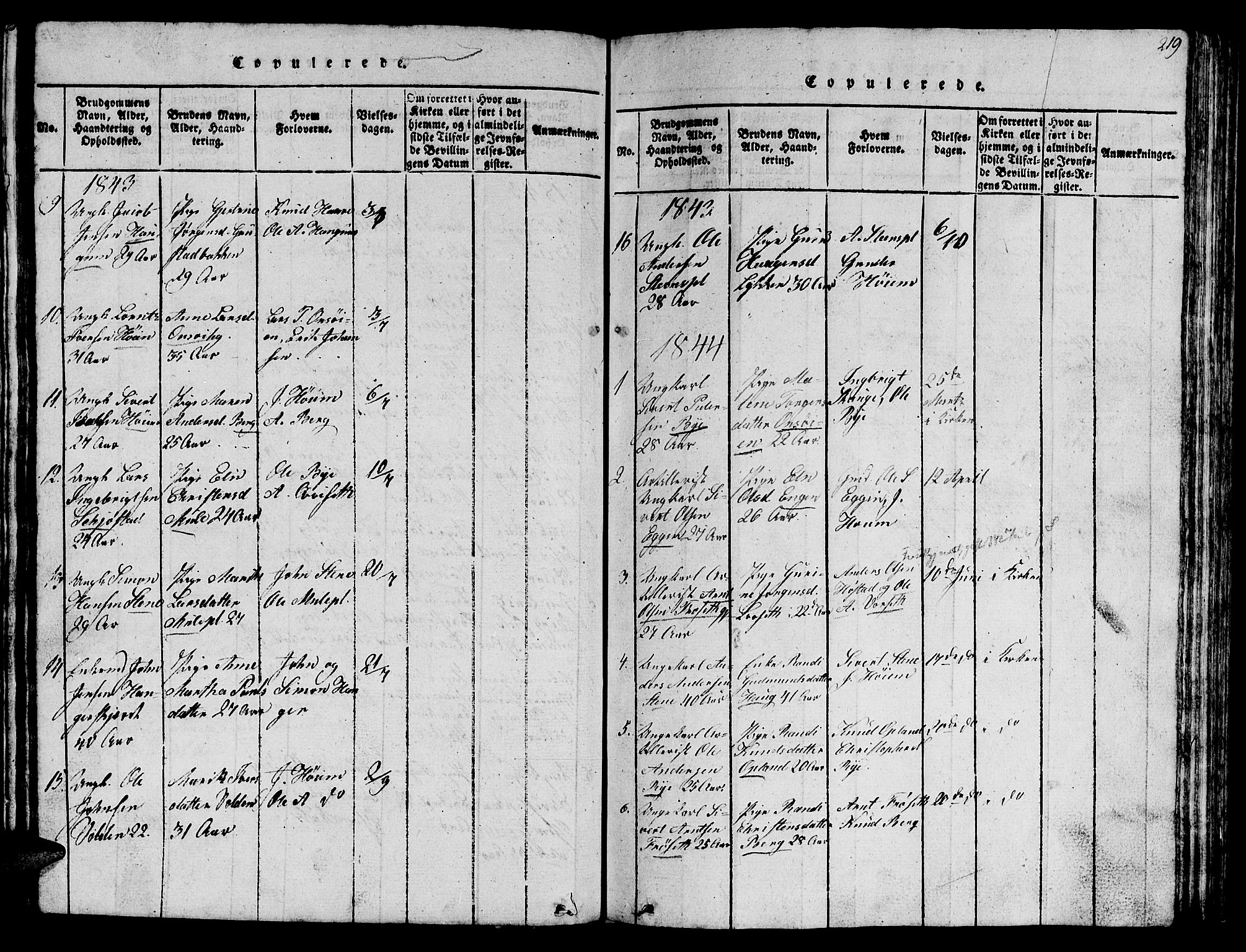 Ministerialprotokoller, klokkerbøker og fødselsregistre - Sør-Trøndelag, AV/SAT-A-1456/612/L0385: Klokkerbok nr. 612C01, 1816-1845, s. 219