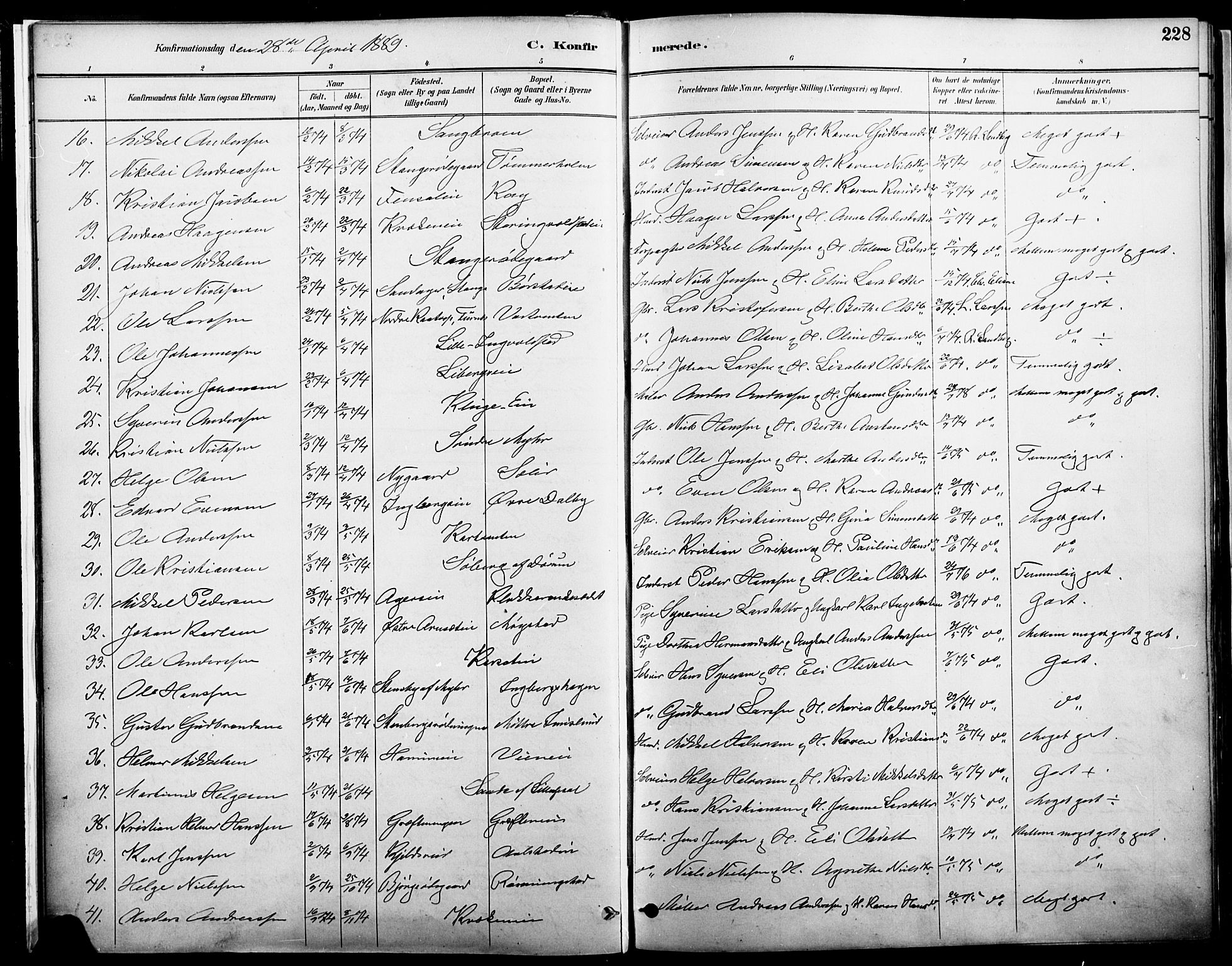 Vang prestekontor, Hedmark, AV/SAH-PREST-008/H/Ha/Haa/L0019A: Ministerialbok nr. 19, 1886-1900, s. 228