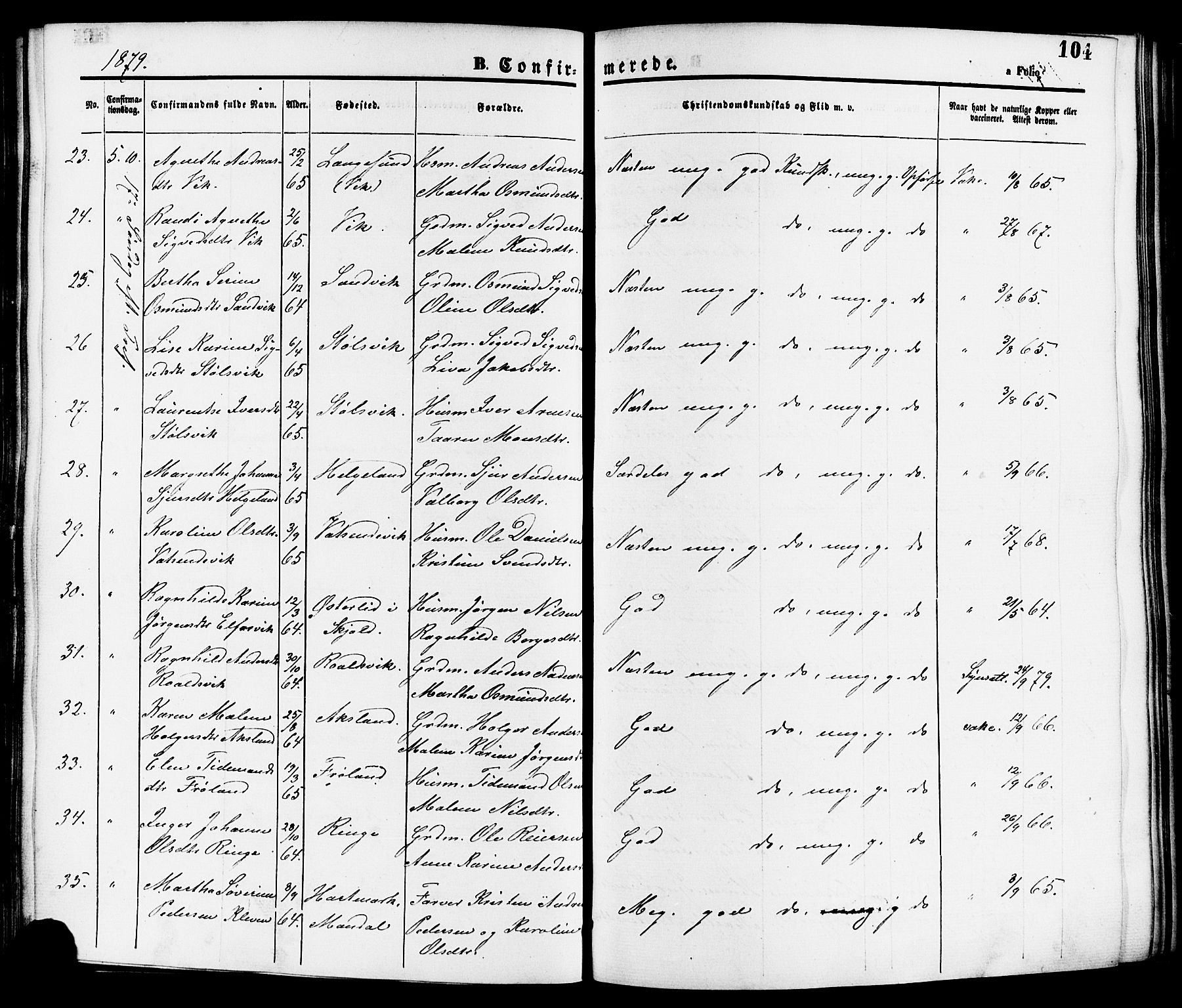 Nedstrand sokneprestkontor, AV/SAST-A-101841/01/IV: Ministerialbok nr. A 11, 1877-1887, s. 104