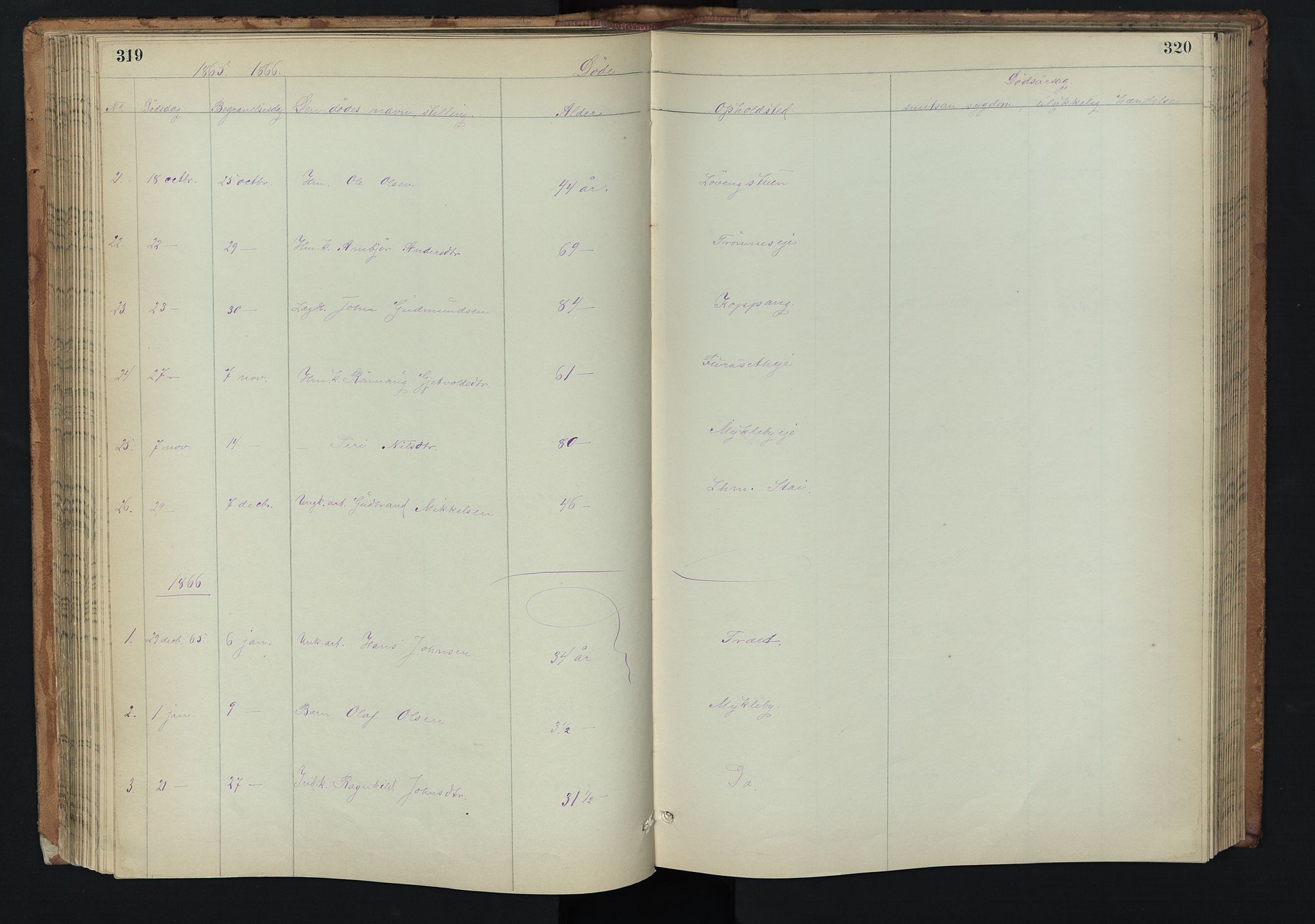 Stor-Elvdal prestekontor, AV/SAH-PREST-052/H/Ha/Hab/L0002: Klokkerbok nr. 2, 1860-1894, s. 319-320