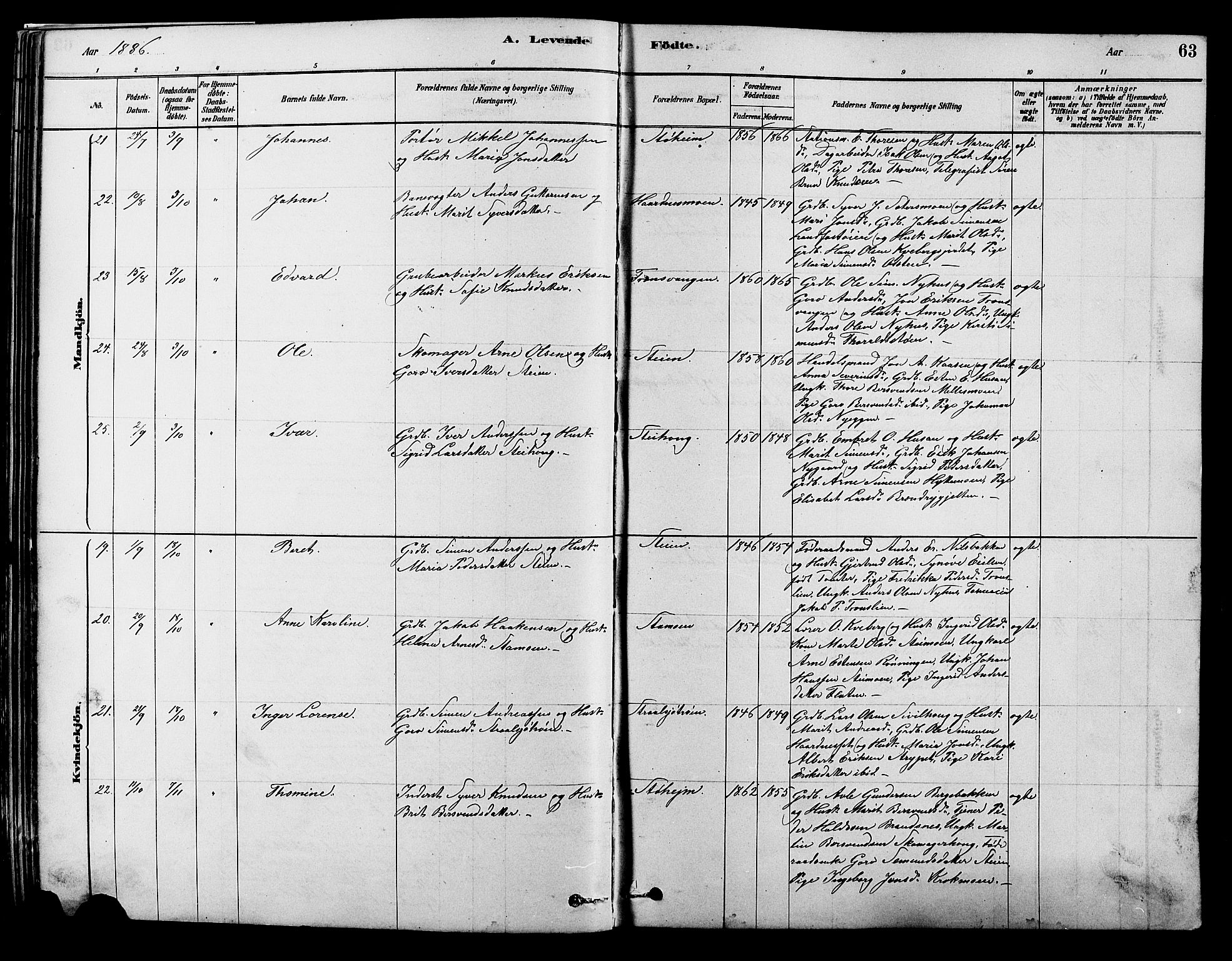 Alvdal prestekontor, AV/SAH-PREST-060/H/Ha/Hab/L0003: Klokkerbok nr. 3, 1878-1907, s. 63