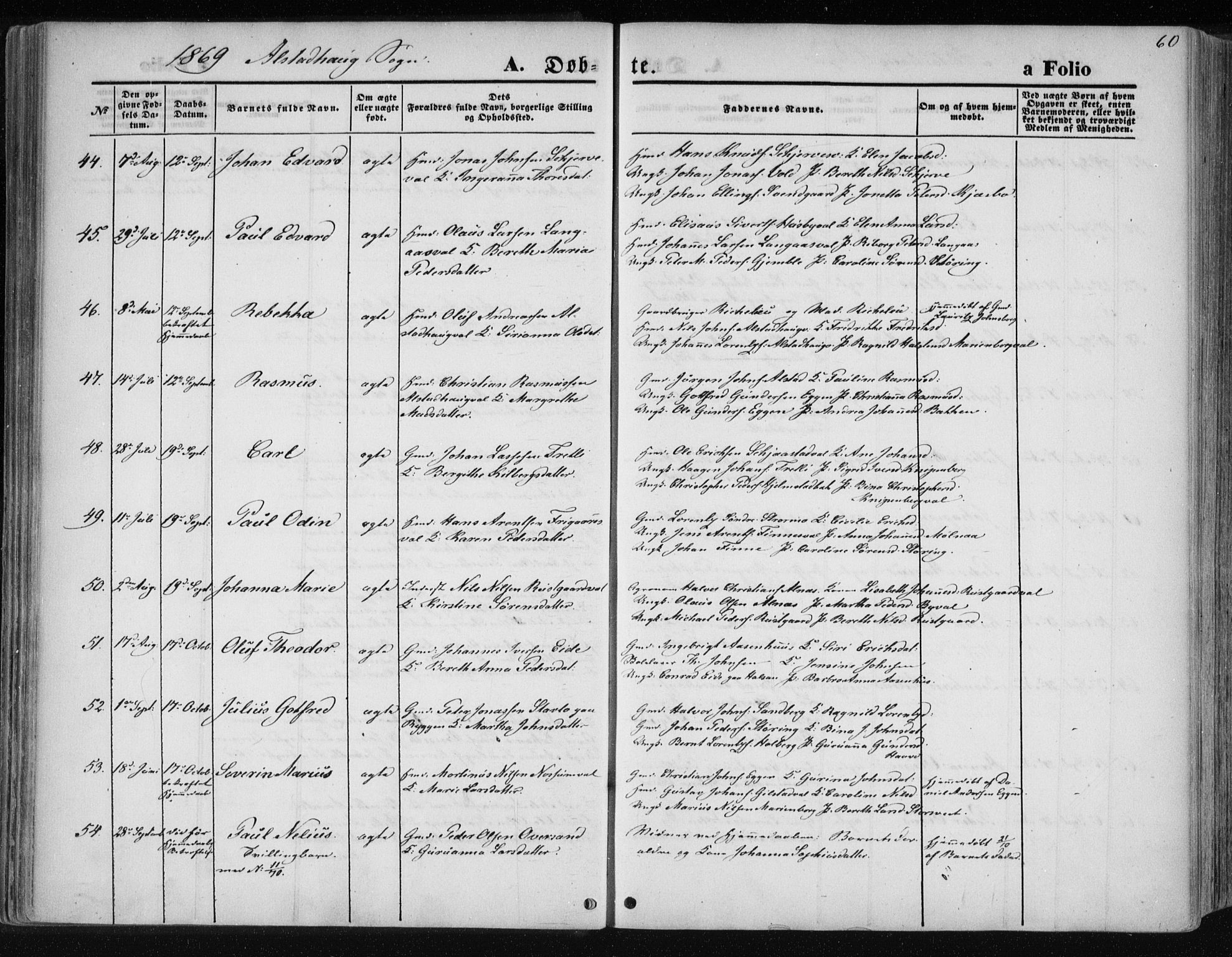 Ministerialprotokoller, klokkerbøker og fødselsregistre - Nord-Trøndelag, SAT/A-1458/717/L0157: Ministerialbok nr. 717A08 /1, 1863-1877, s. 60
