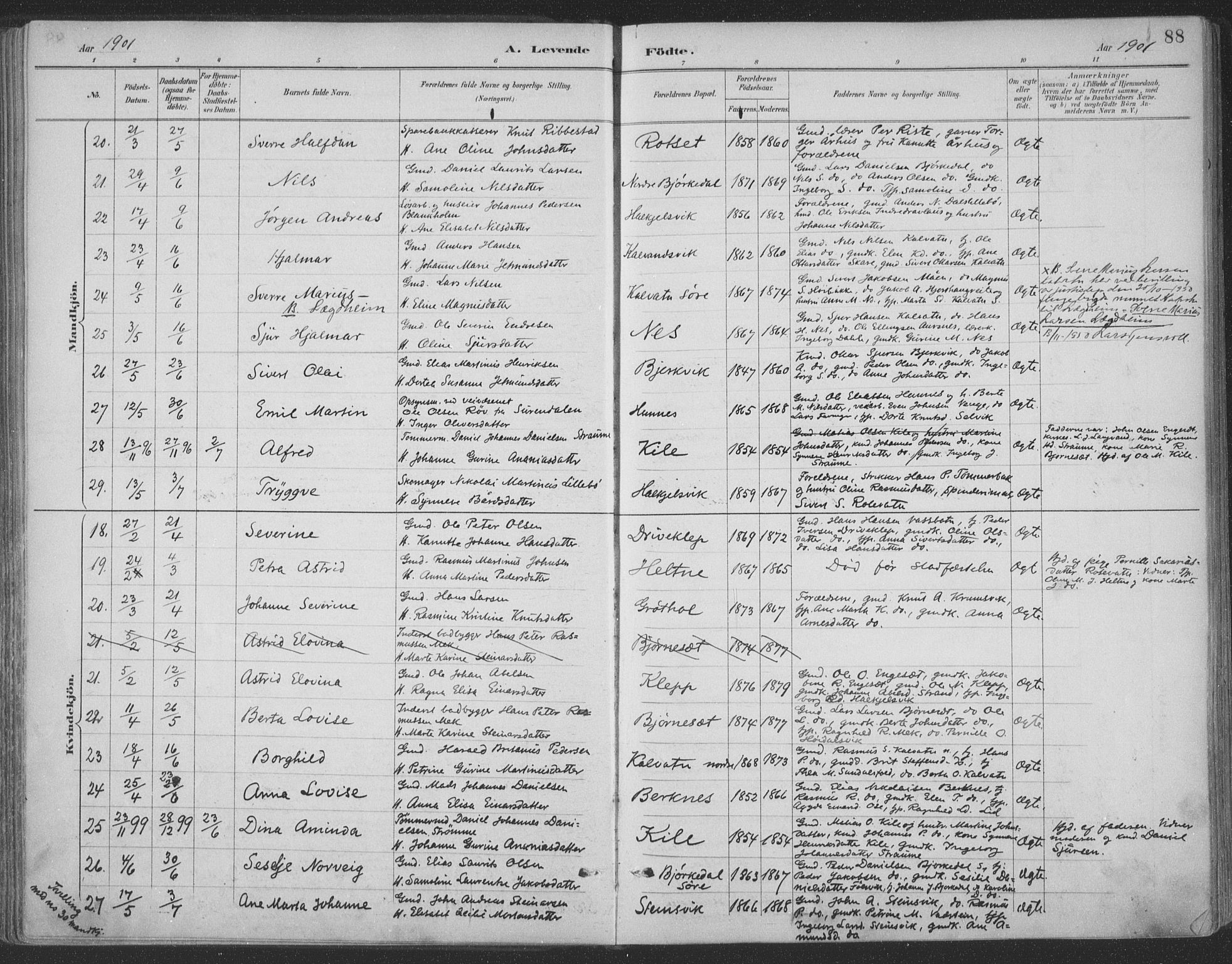 Ministerialprotokoller, klokkerbøker og fødselsregistre - Møre og Romsdal, SAT/A-1454/511/L0142: Ministerialbok nr. 511A09, 1891-1905, s. 88