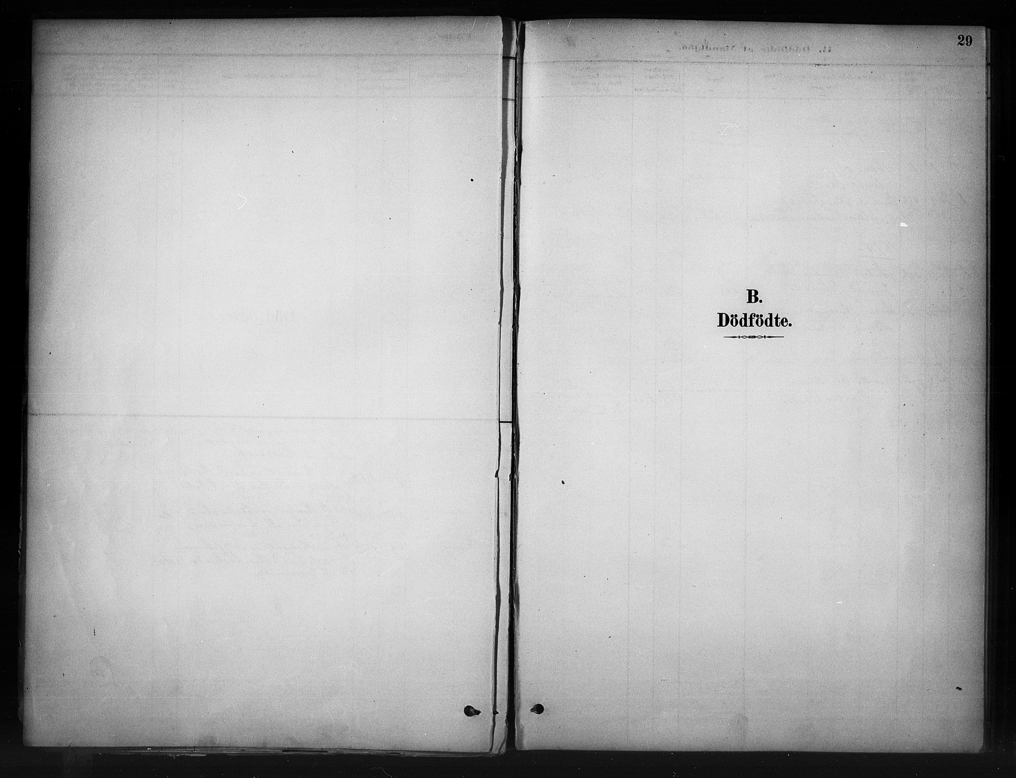 Nord-Aurdal prestekontor, AV/SAH-PREST-132/H/Ha/Haa/L0011: Ministerialbok nr. 11, 1883-1896, s. 29