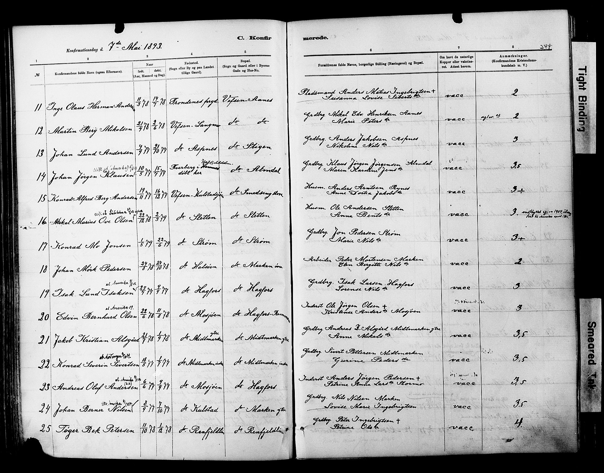 Ministerialprotokoller, klokkerbøker og fødselsregistre - Nordland, AV/SAT-A-1459/820/L0295: Ministerialbok nr. 820A16, 1880-1896, s. 244