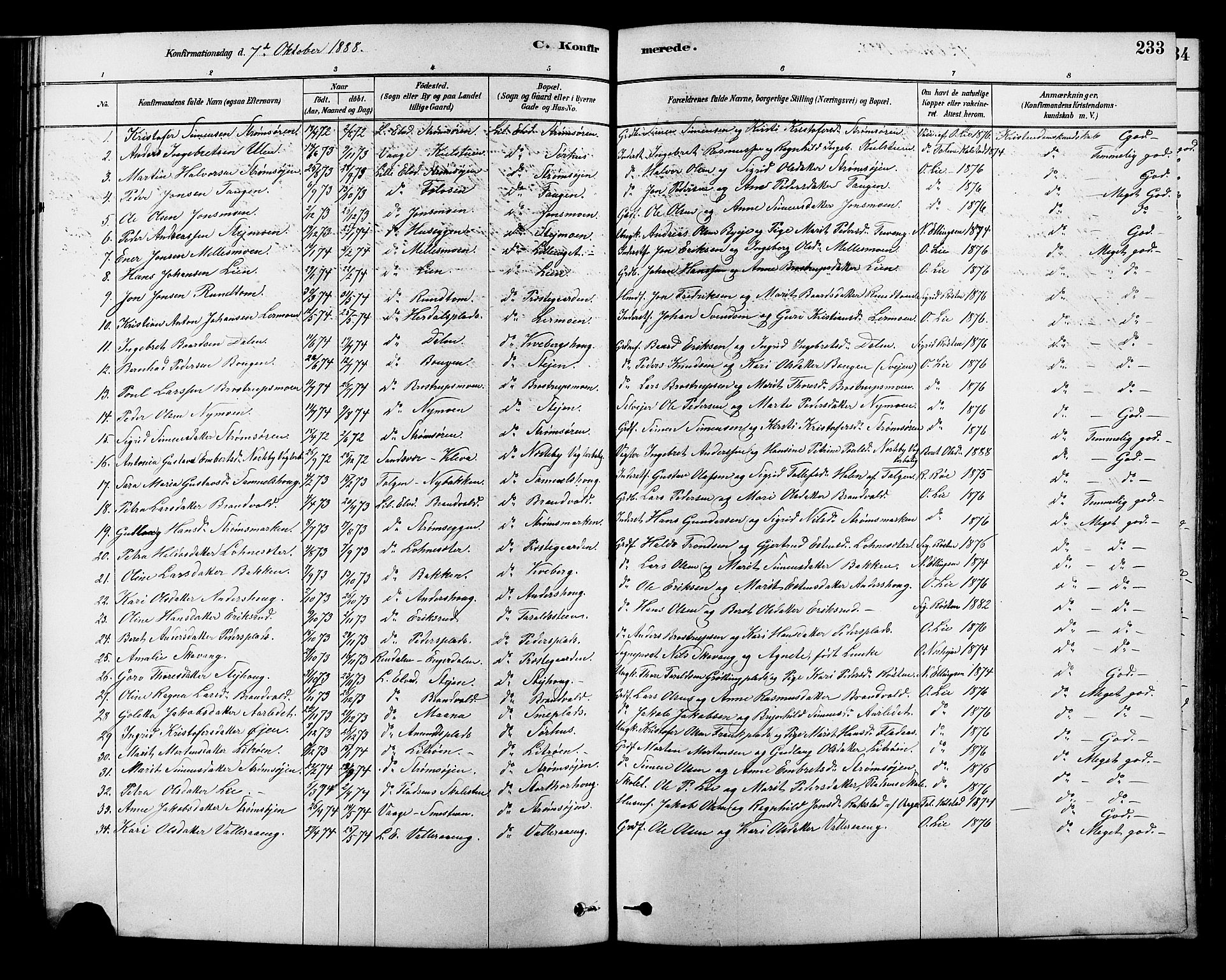 Alvdal prestekontor, AV/SAH-PREST-060/H/Ha/Hab/L0003: Klokkerbok nr. 3, 1878-1907, s. 233