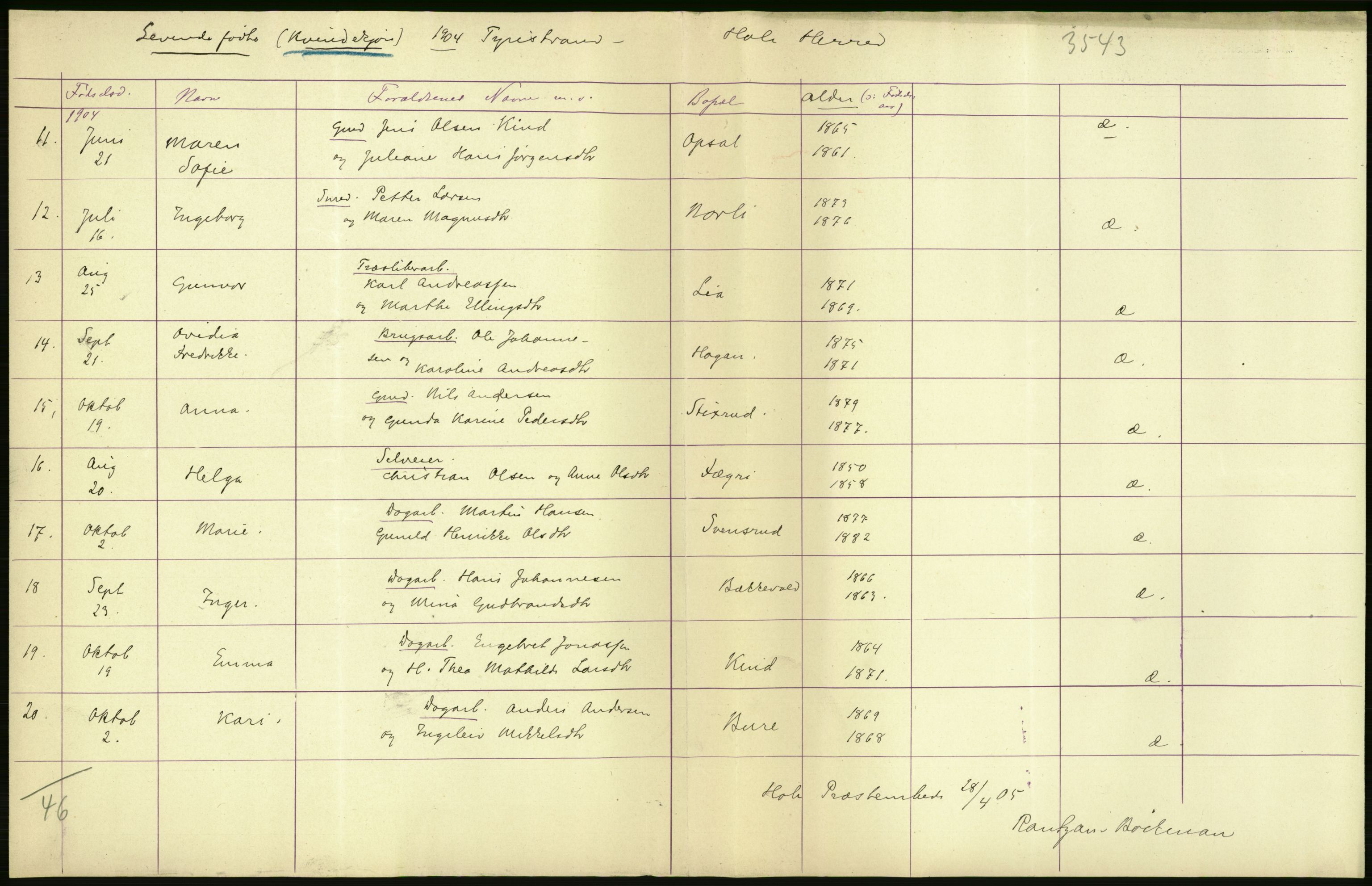 Statistisk sentralbyrå, Sosiodemografiske emner, Befolkning, AV/RA-S-2228/D/Df/Dfa/Dfab/L0007: Buskerud amt: Fødte, gifte, døde, 1904, s. 10