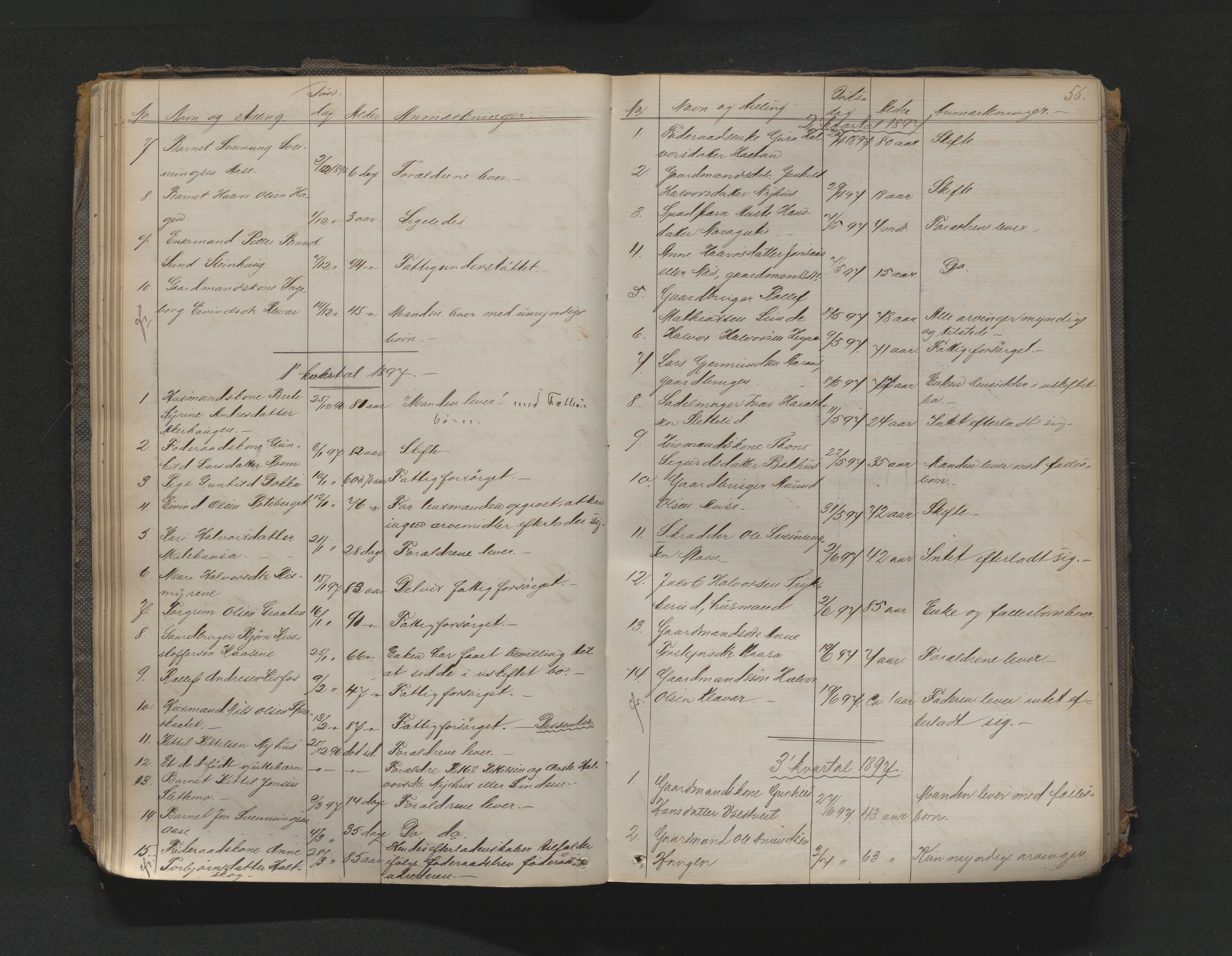Nedre Telemark sorenskriveri, AV/SAKO-A-135/H/Ha/Haa/L0001: Dødsanmeldeldelsesprotokoll, 1867-1901, s. 55b-56a