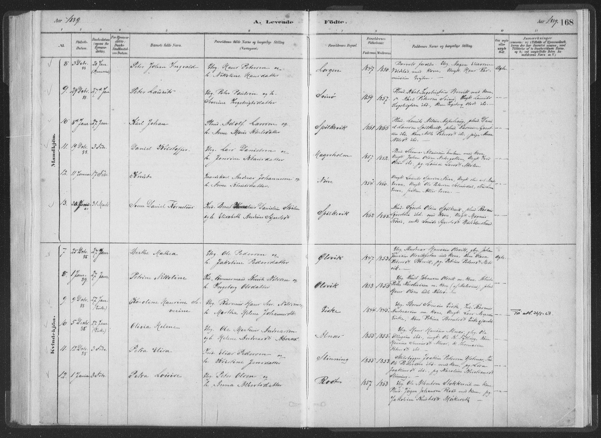 Ministerialprotokoller, klokkerbøker og fødselsregistre - Møre og Romsdal, AV/SAT-A-1454/528/L0401: Ministerialbok nr. 528A12I, 1880-1920, s. 168