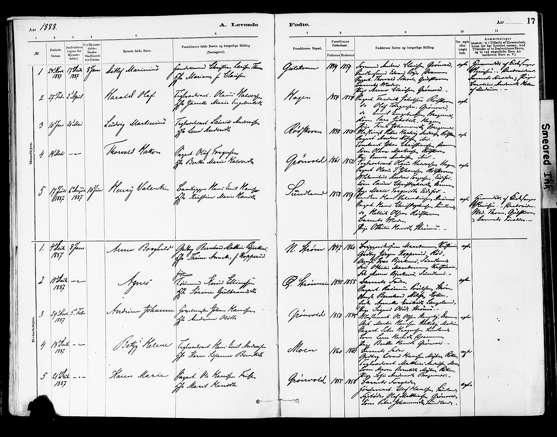 Strømsgodset kirkebøker, AV/SAKO-A-324/F/Fa/L0001: Ministerialbok nr. 1, 1885-1909, s. 17