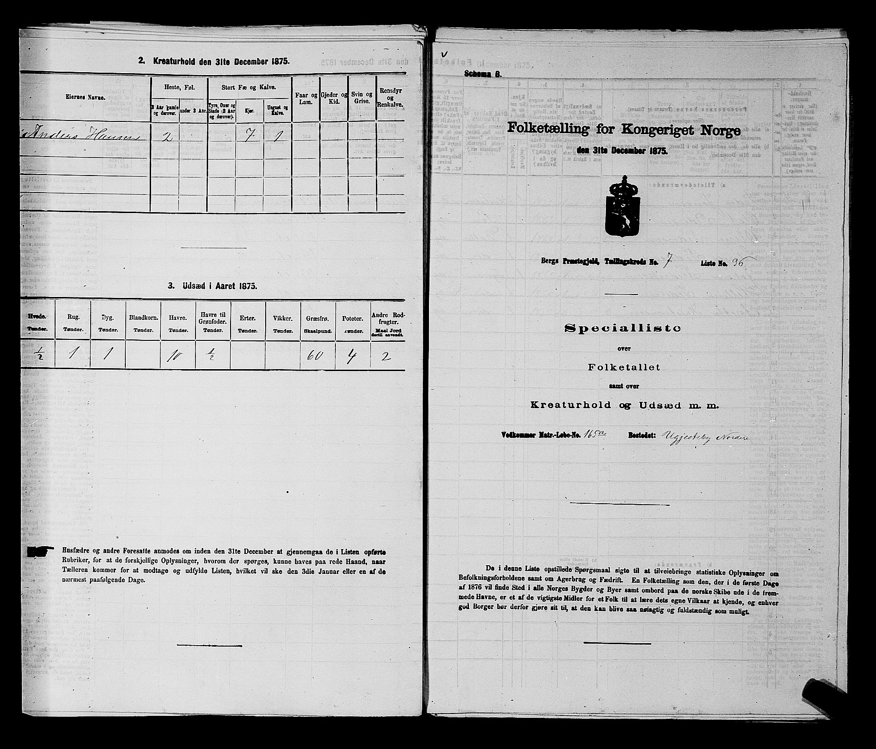 RA, Folketelling 1875 for 0116P Berg prestegjeld, 1875, s. 1113