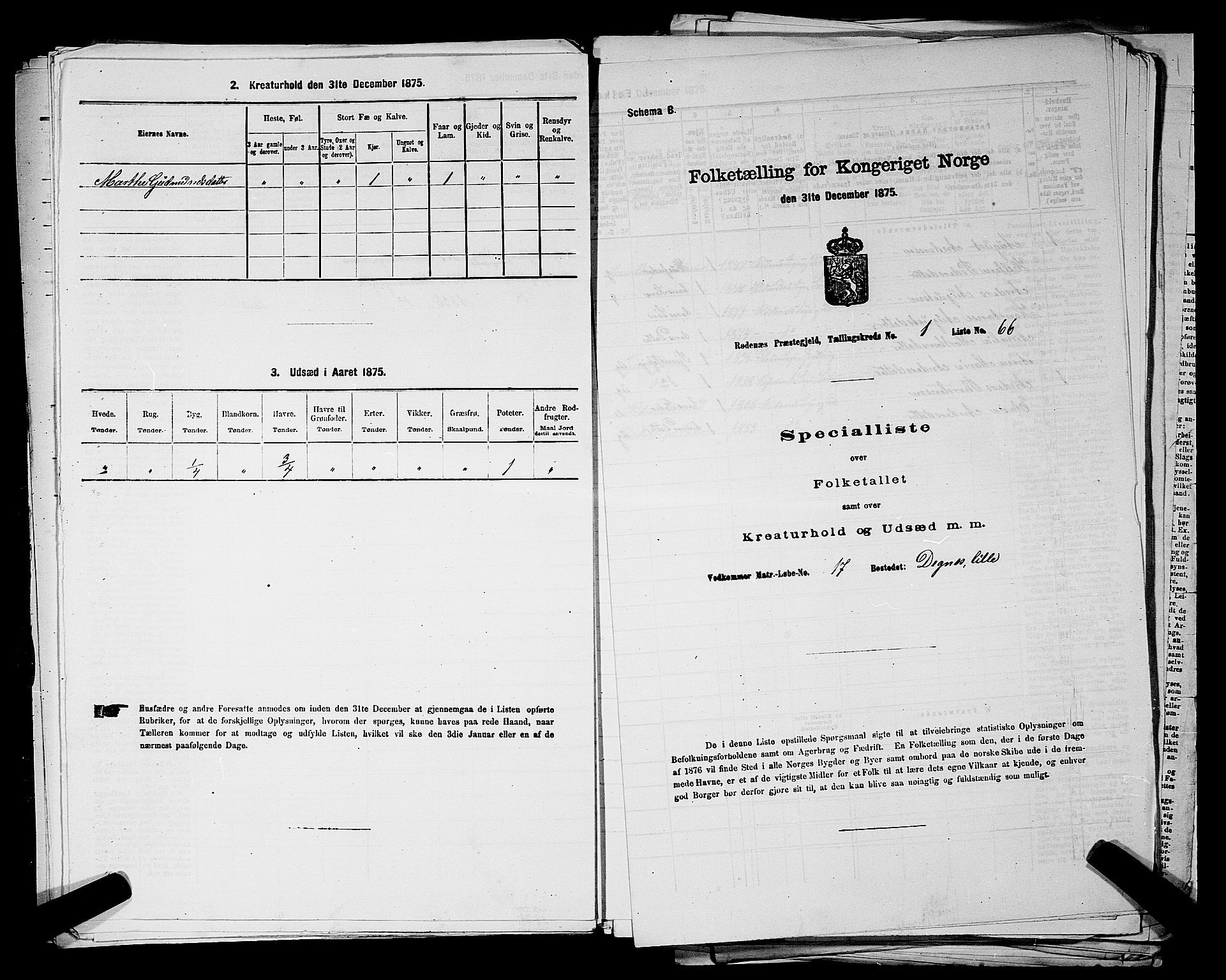 RA, Folketelling 1875 for 0120P Rødenes prestegjeld, 1875, s. 160
