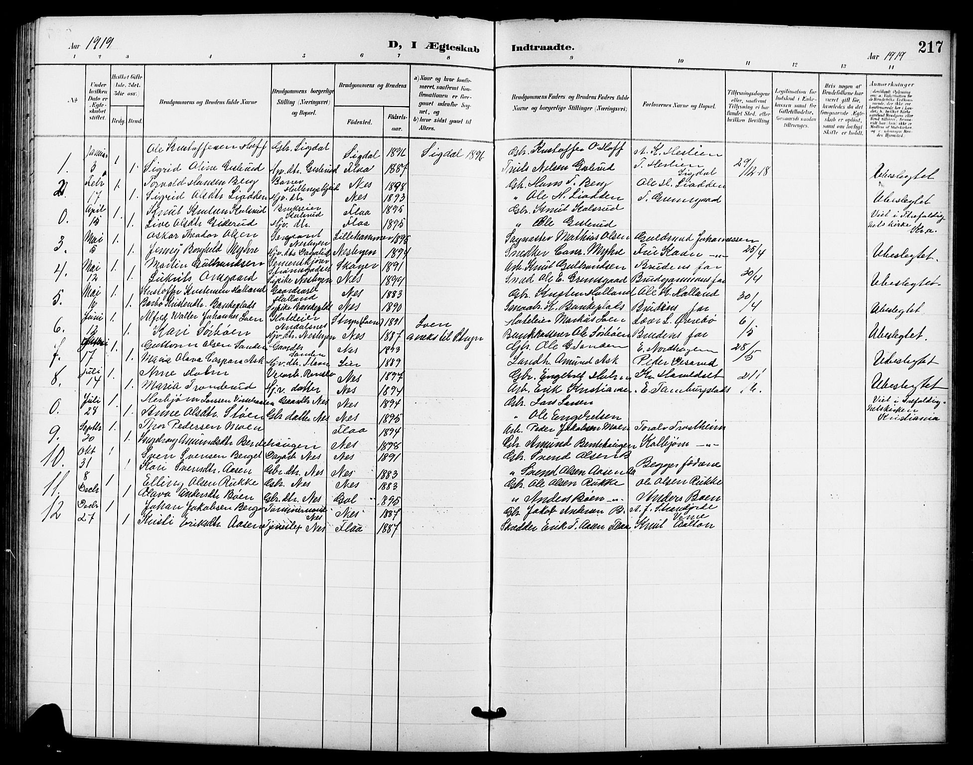 Nes kirkebøker, AV/SAKO-A-236/G/Ga/L0004: Klokkerbok nr. I 4, 1900-1925, s. 217