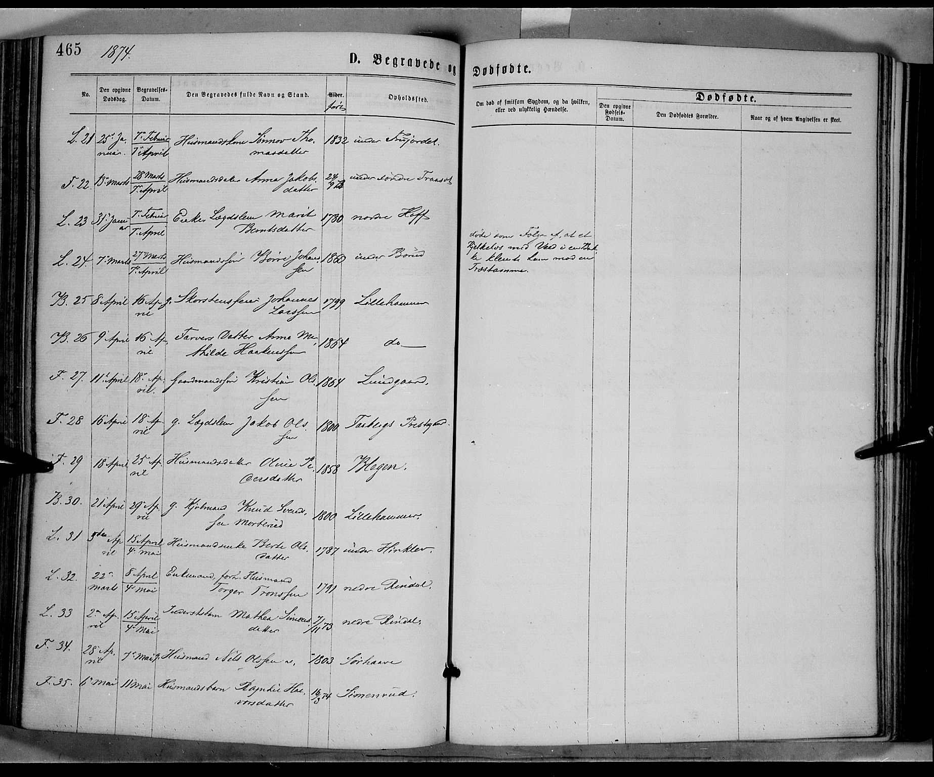 Fåberg prestekontor, AV/SAH-PREST-086/H/Ha/Haa/L0007: Ministerialbok nr. 7, 1868-1878, s. 465