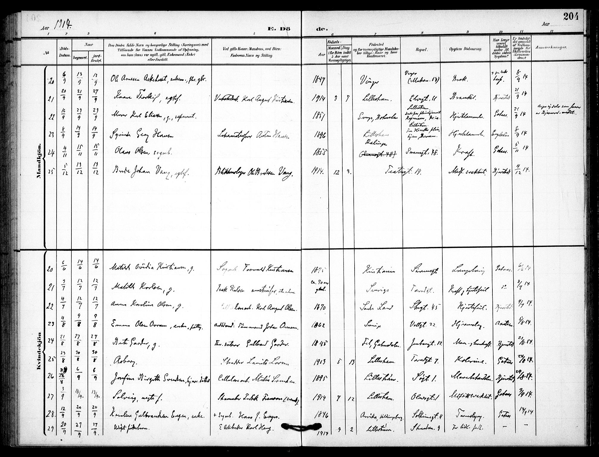 Skedsmo prestekontor Kirkebøker, AV/SAO-A-10033a/F/Fc/L0001: Ministerialbok nr. III 1, 1908-1916, s. 204