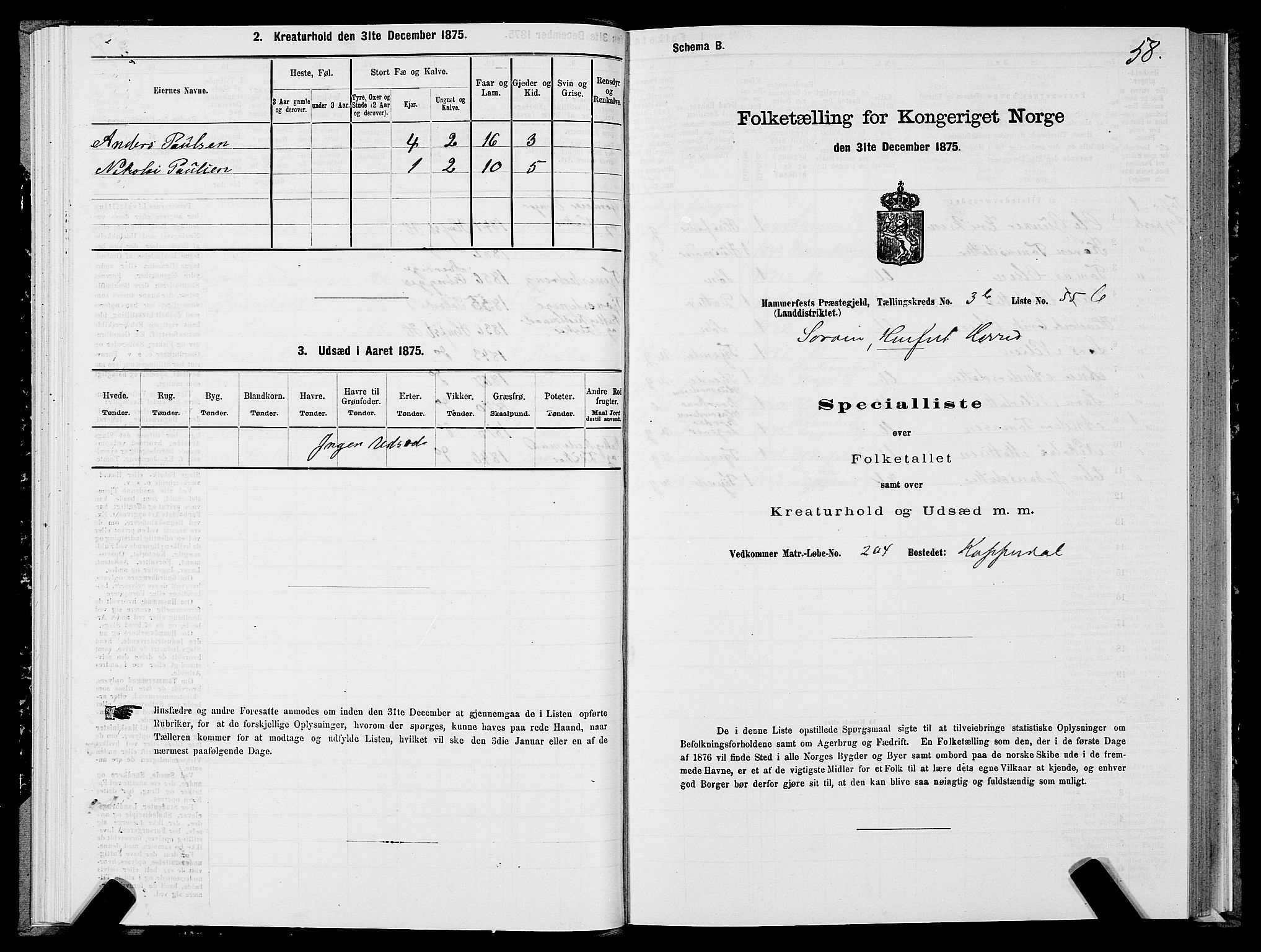 SATØ, Folketelling 1875 for 2016L Hammerfest prestegjeld, Hammerfest landsokn og Kvalsund sokn, 1875, s. 1058