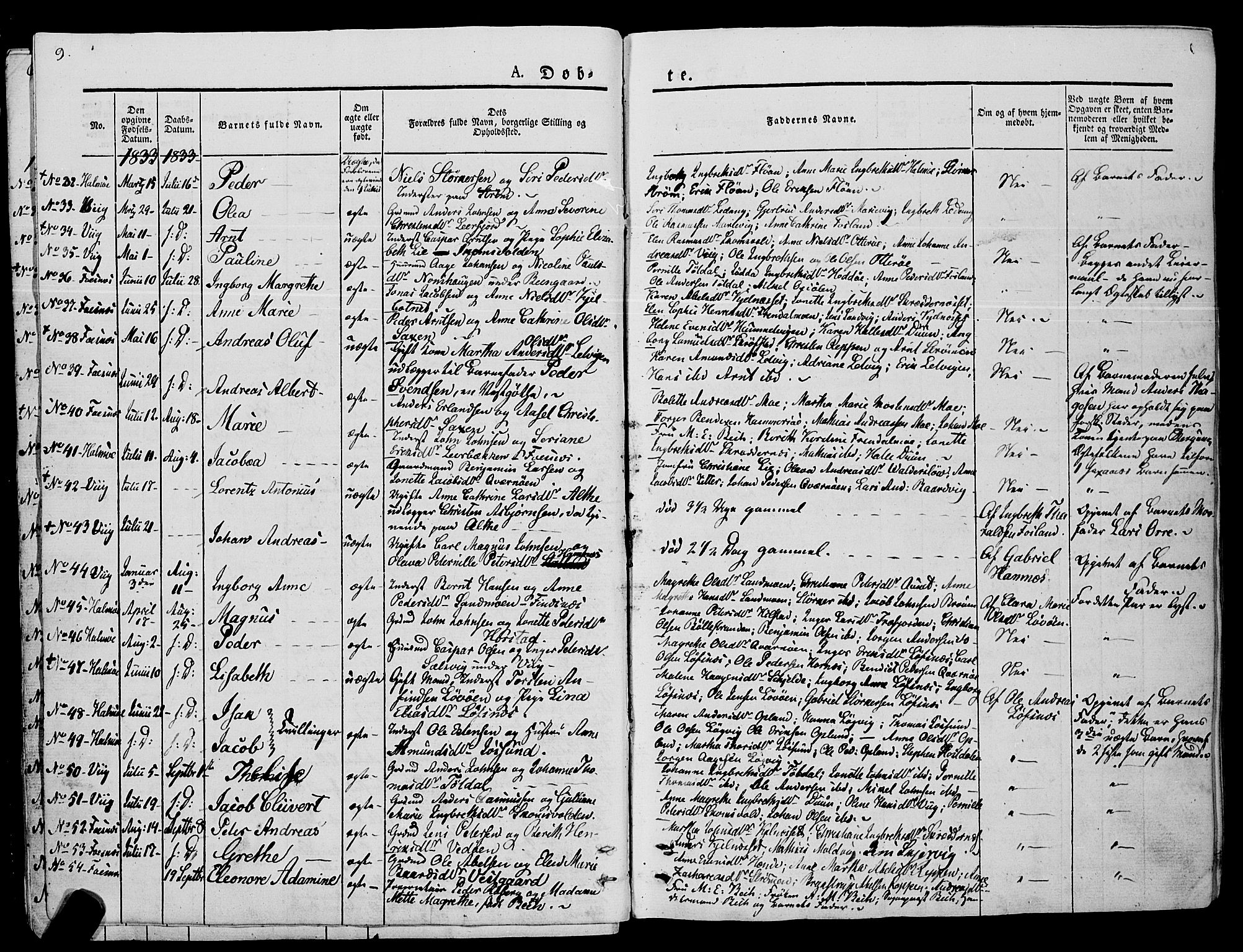 Ministerialprotokoller, klokkerbøker og fødselsregistre - Nord-Trøndelag, SAT/A-1458/773/L0614: Ministerialbok nr. 773A05, 1831-1856, s. 9