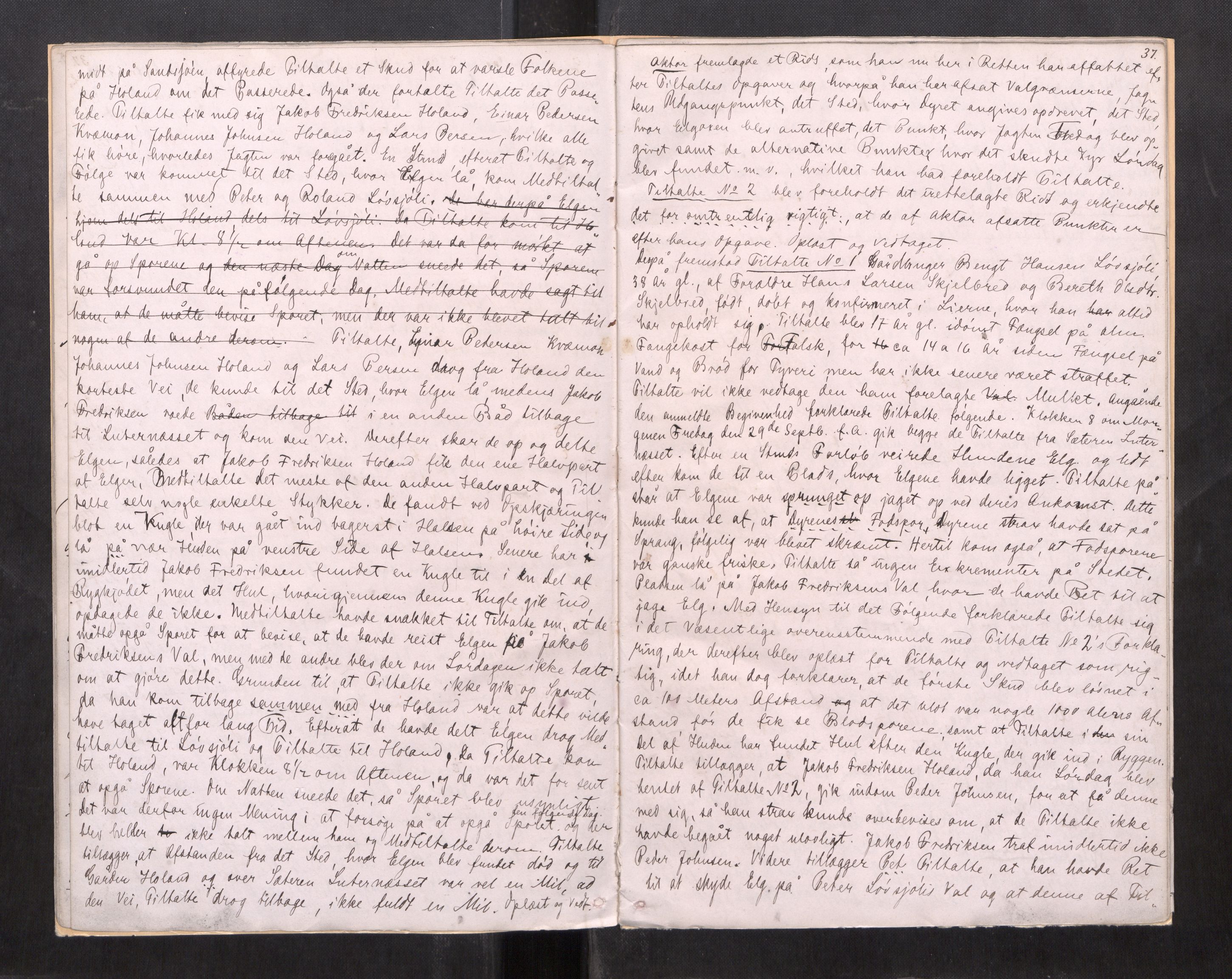 Namdal sorenskriveri, AV/SAT-A-4133/1/1/1B/L0017: Ekstrarettsprotokoll nr. 15, 1886-1889, s. 36b-37a