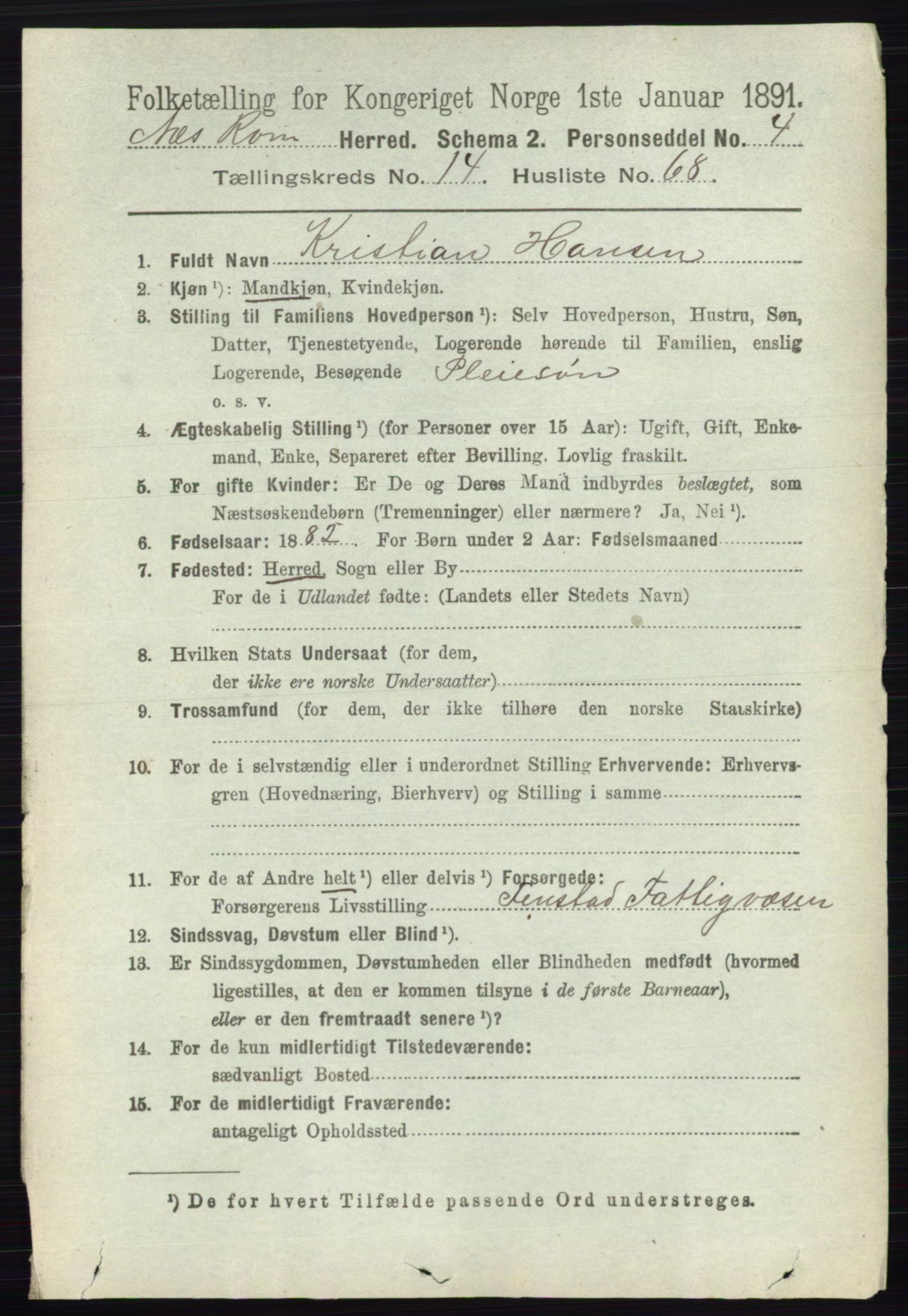 RA, Folketelling 1891 for 0236 Nes herred, 1891, s. 8873