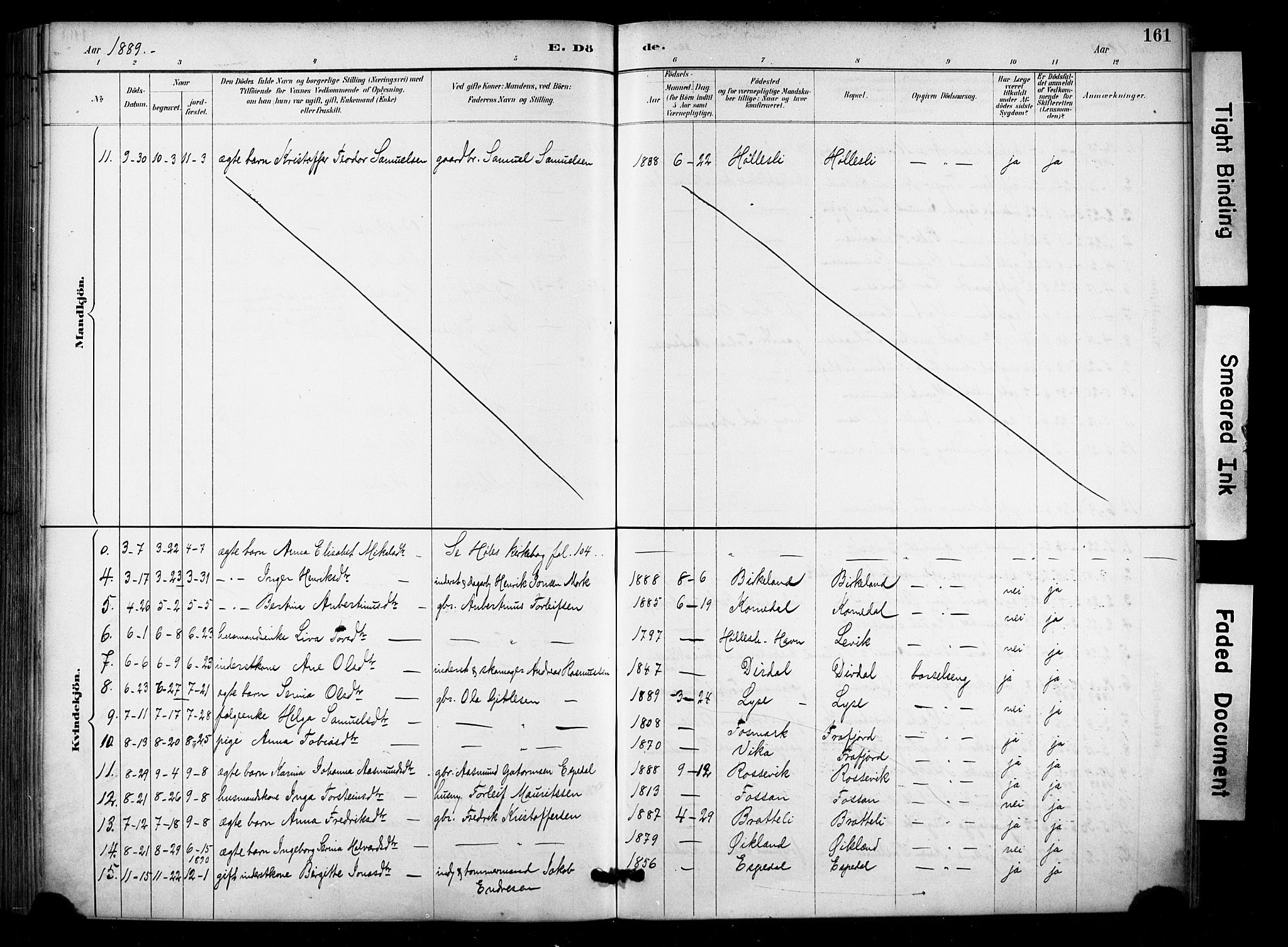 Høgsfjord sokneprestkontor, AV/SAST-A-101624/H/Ha/Haa/L0006: Ministerialbok nr. A 6, 1885-1897, s. 161