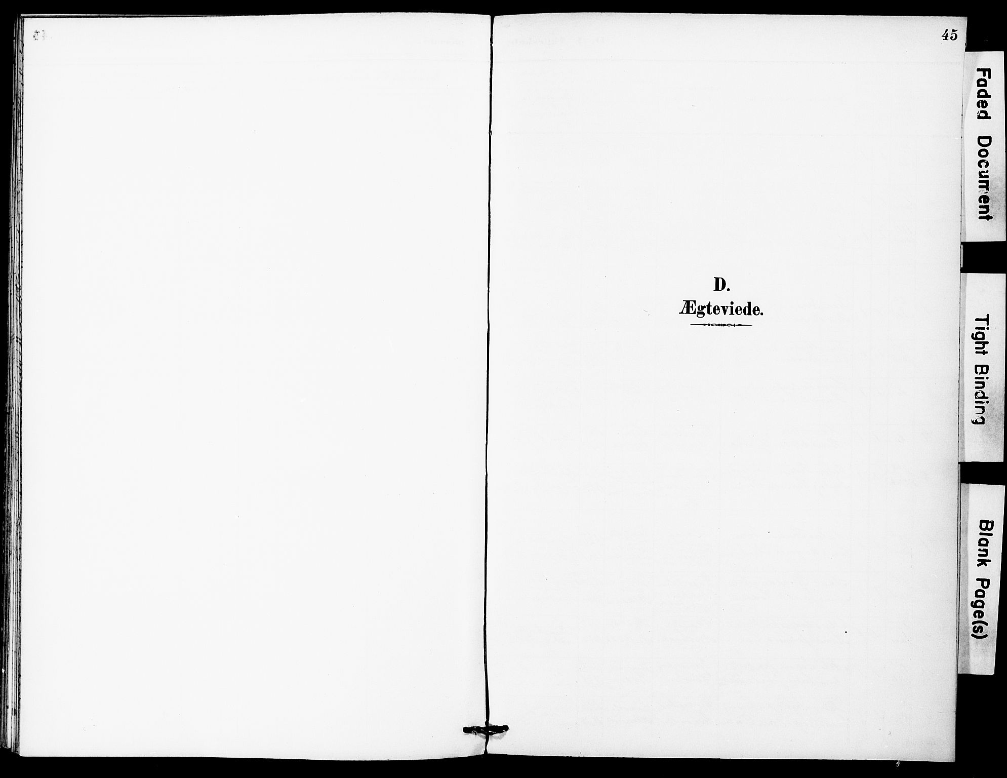 Ministerialprotokoller, klokkerbøker og fødselsregistre - Sør-Trøndelag, SAT/A-1456/683/L0948: Ministerialbok nr. 683A01, 1891-1902, s. 45