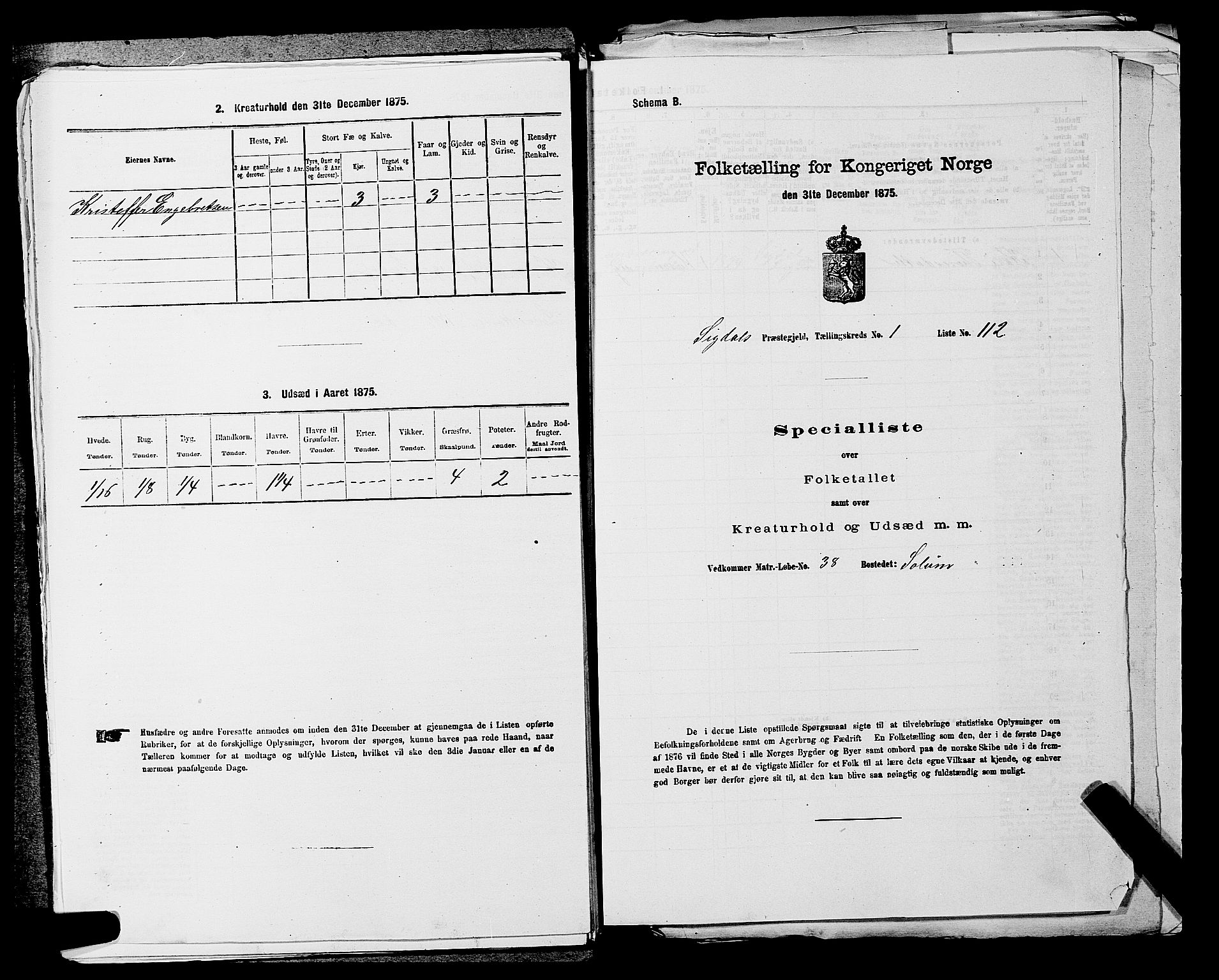 SAKO, Folketelling 1875 for 0621P Sigdal prestegjeld, 1875, s. 307