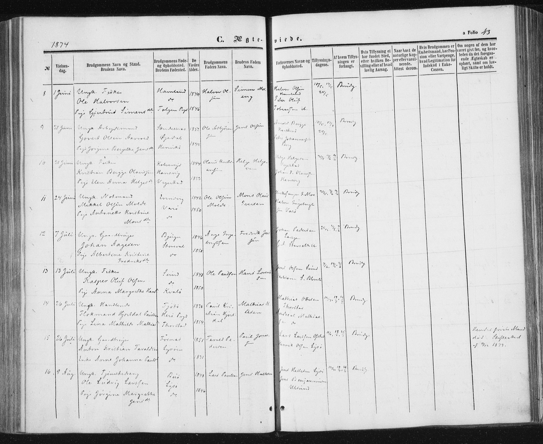 Ministerialprotokoller, klokkerbøker og fødselsregistre - Nord-Trøndelag, AV/SAT-A-1458/784/L0670: Ministerialbok nr. 784A05, 1860-1876, s. 43