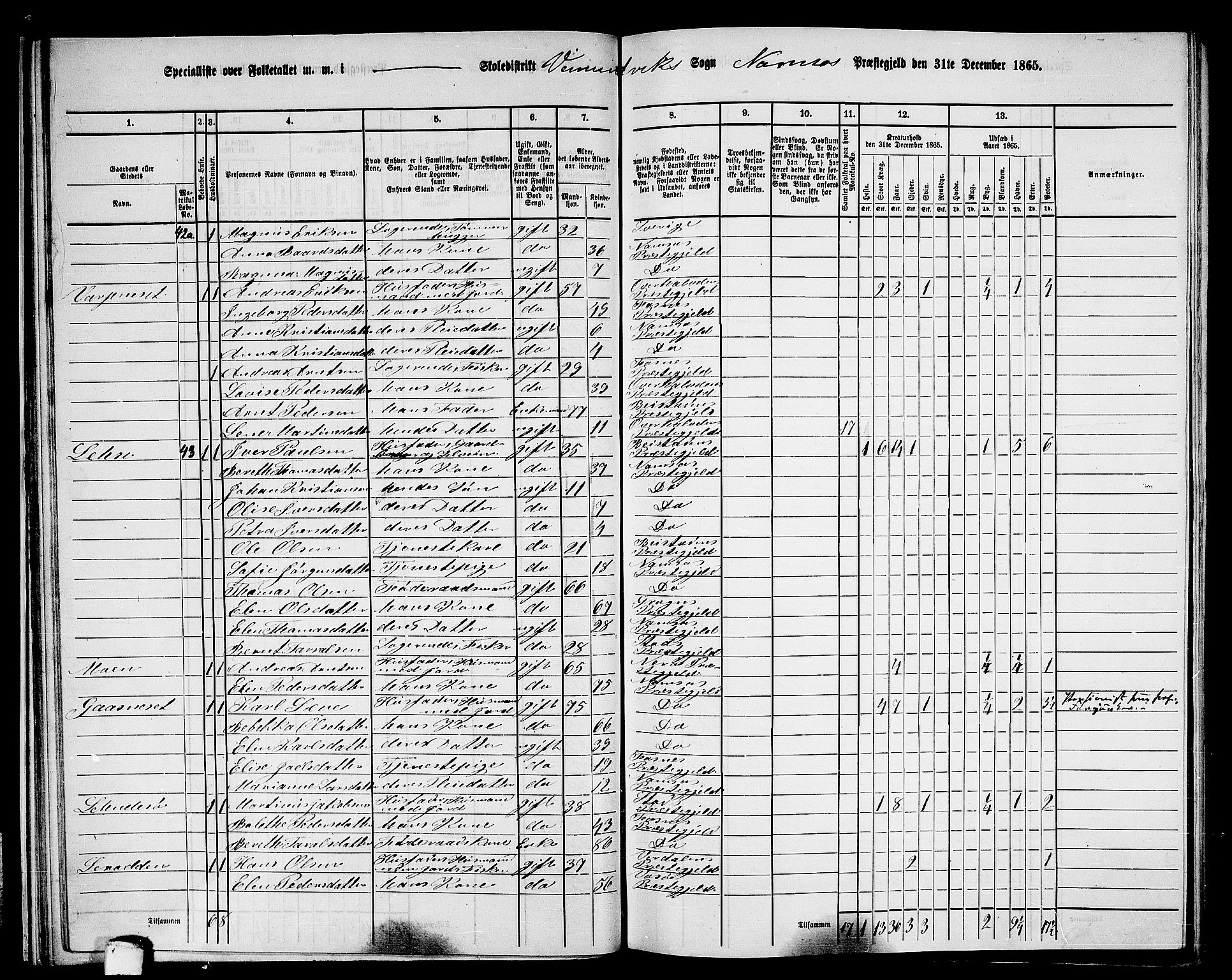 RA, Folketelling 1865 for 1745L Namsos prestegjeld, Vemundvik sokn og Sævik sokn, 1865, s. 31