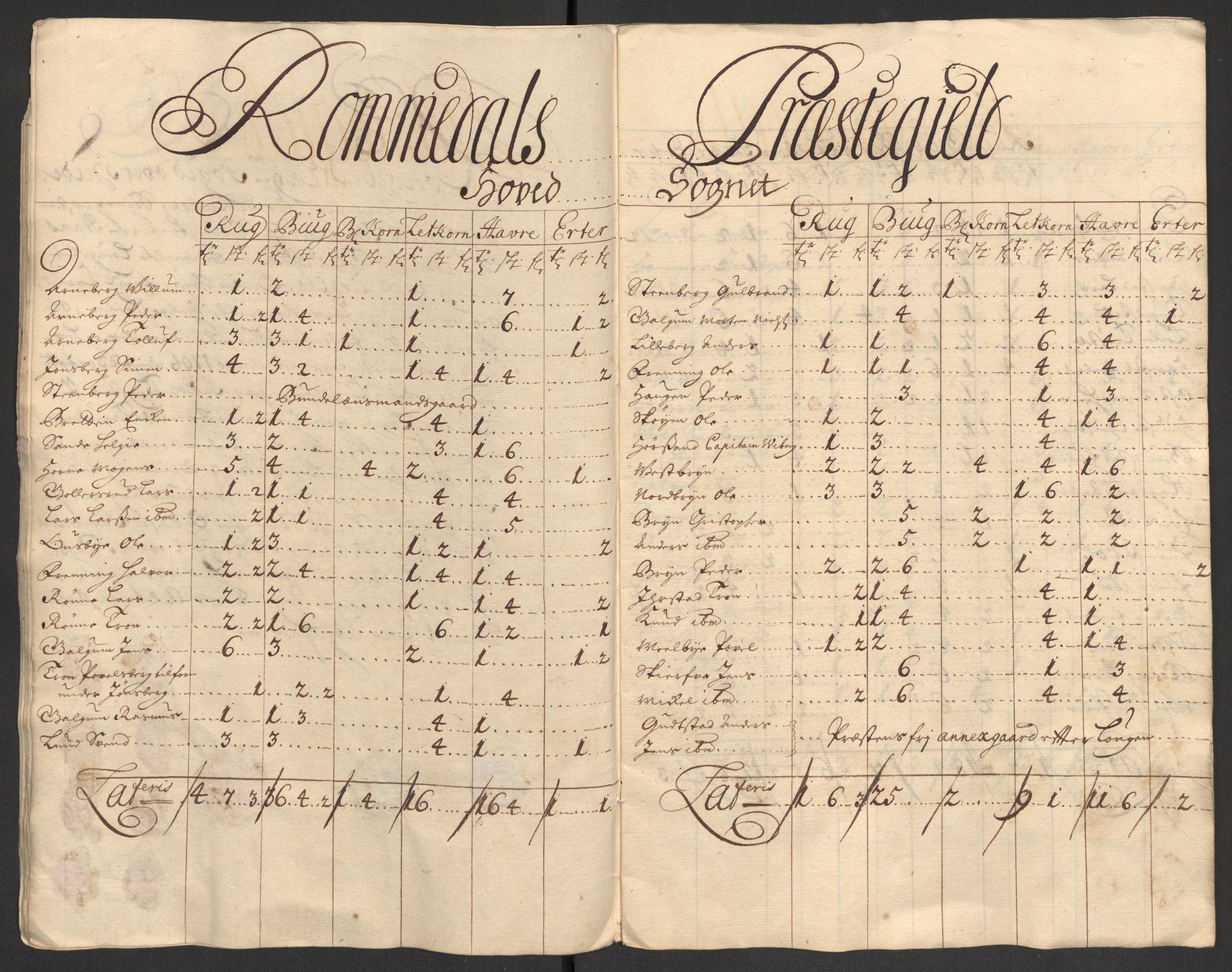 Rentekammeret inntil 1814, Reviderte regnskaper, Fogderegnskap, AV/RA-EA-4092/R16/L1043: Fogderegnskap Hedmark, 1706-1707, s. 49