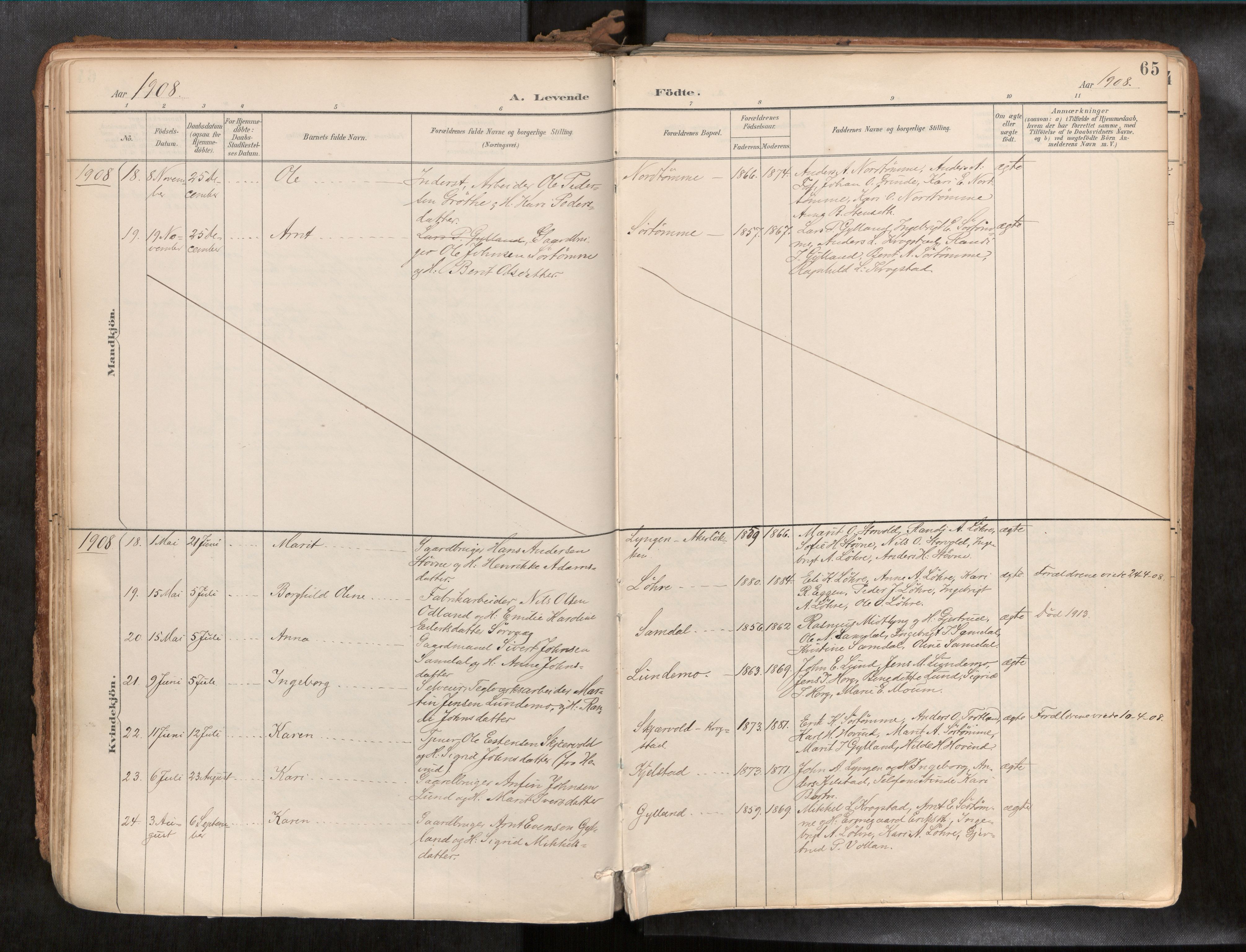 Ministerialprotokoller, klokkerbøker og fødselsregistre - Sør-Trøndelag, SAT/A-1456/692/L1105b: Ministerialbok nr. 692A06, 1891-1934, s. 65