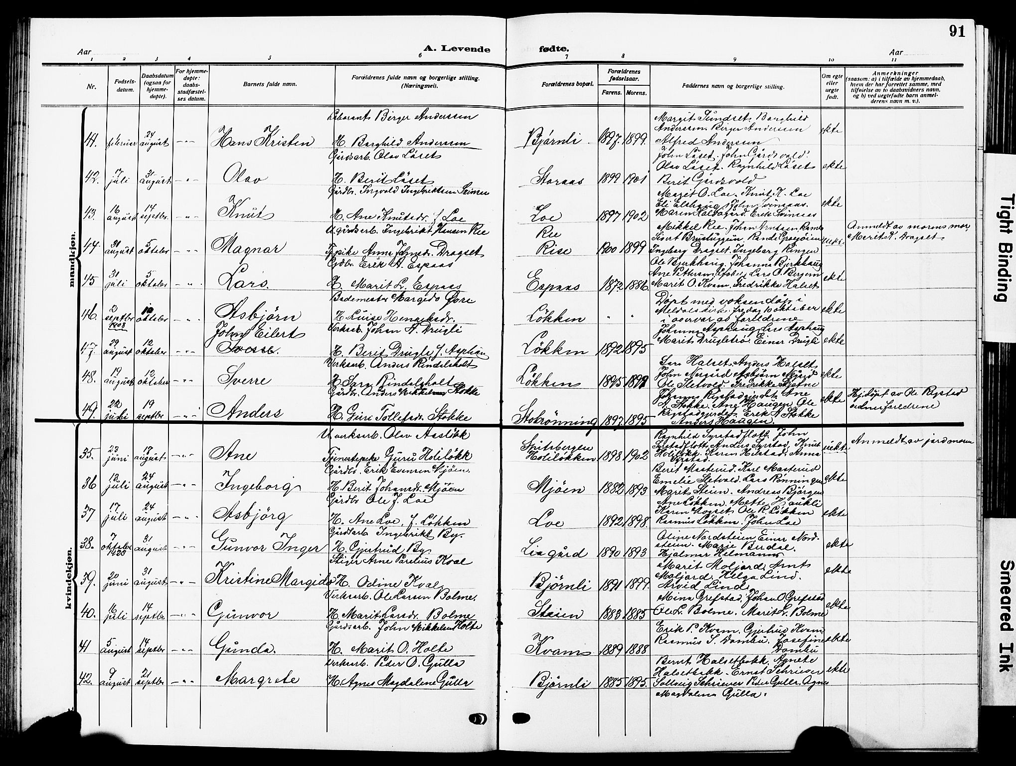 Ministerialprotokoller, klokkerbøker og fødselsregistre - Sør-Trøndelag, AV/SAT-A-1456/672/L0865: Klokkerbok nr. 672C04, 1914-1928, s. 91