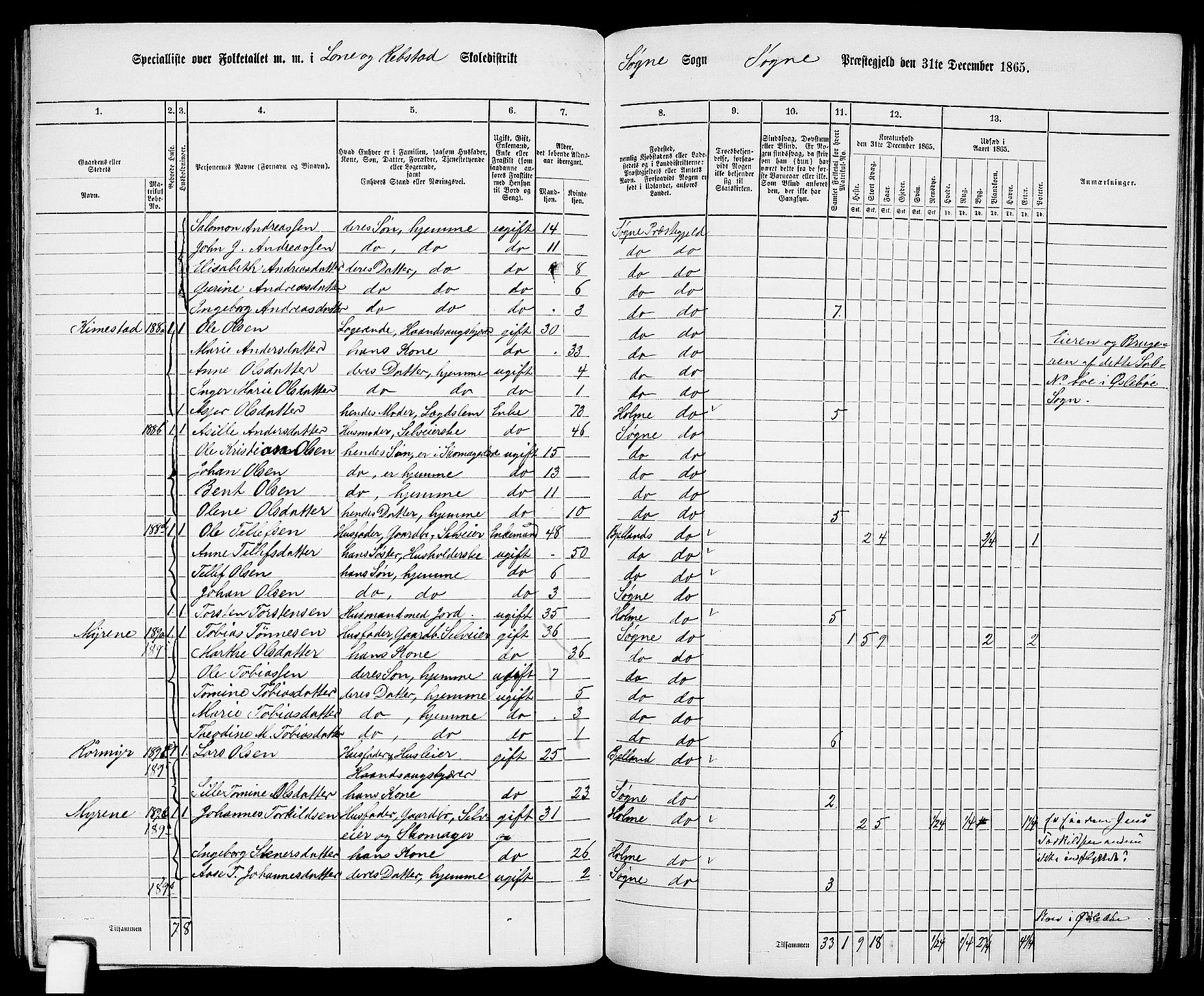 RA, Folketelling 1865 for 1018P Søgne prestegjeld, 1865, s. 117