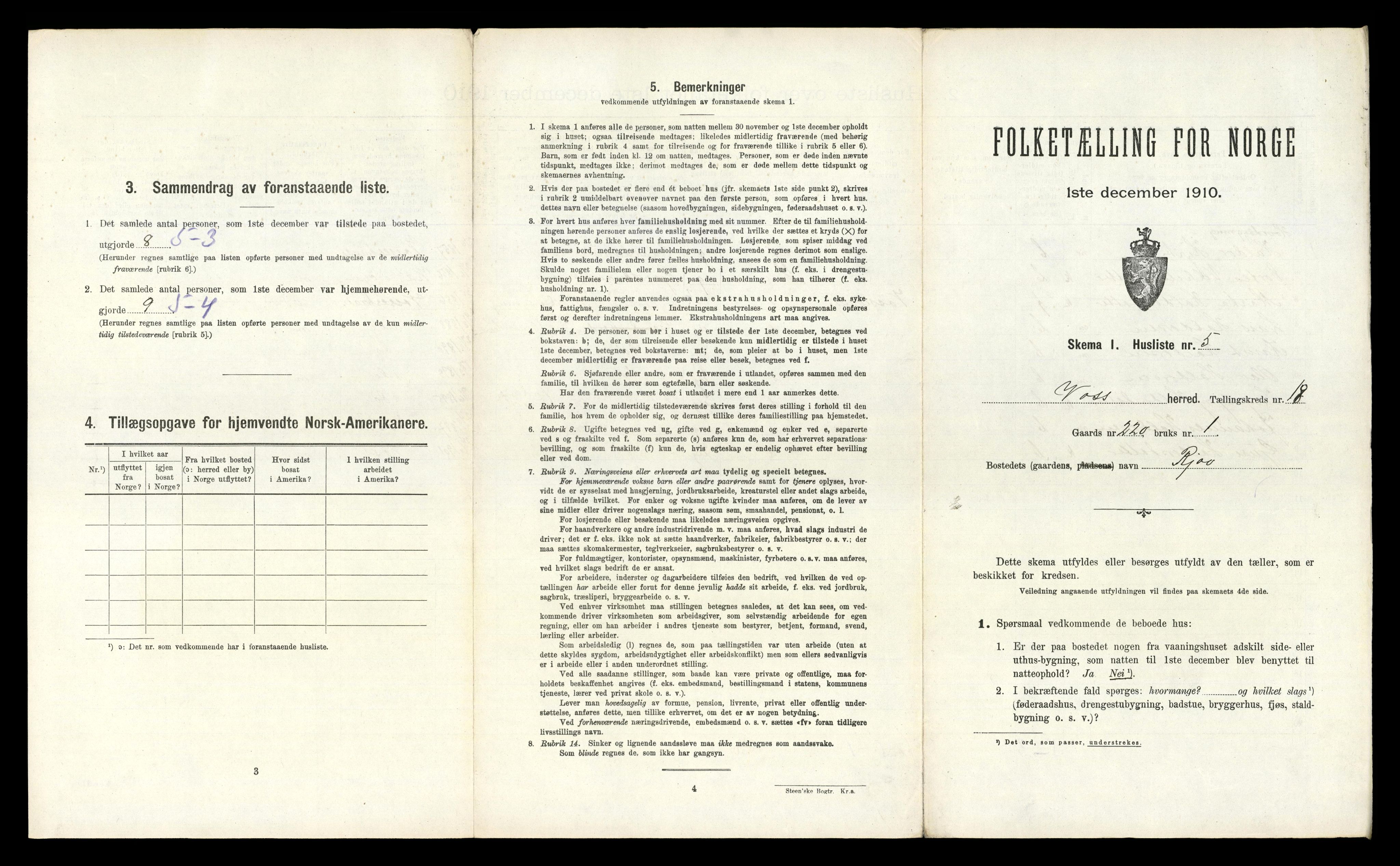 RA, Folketelling 1910 for 1235 Voss herred, 1910, s. 2250