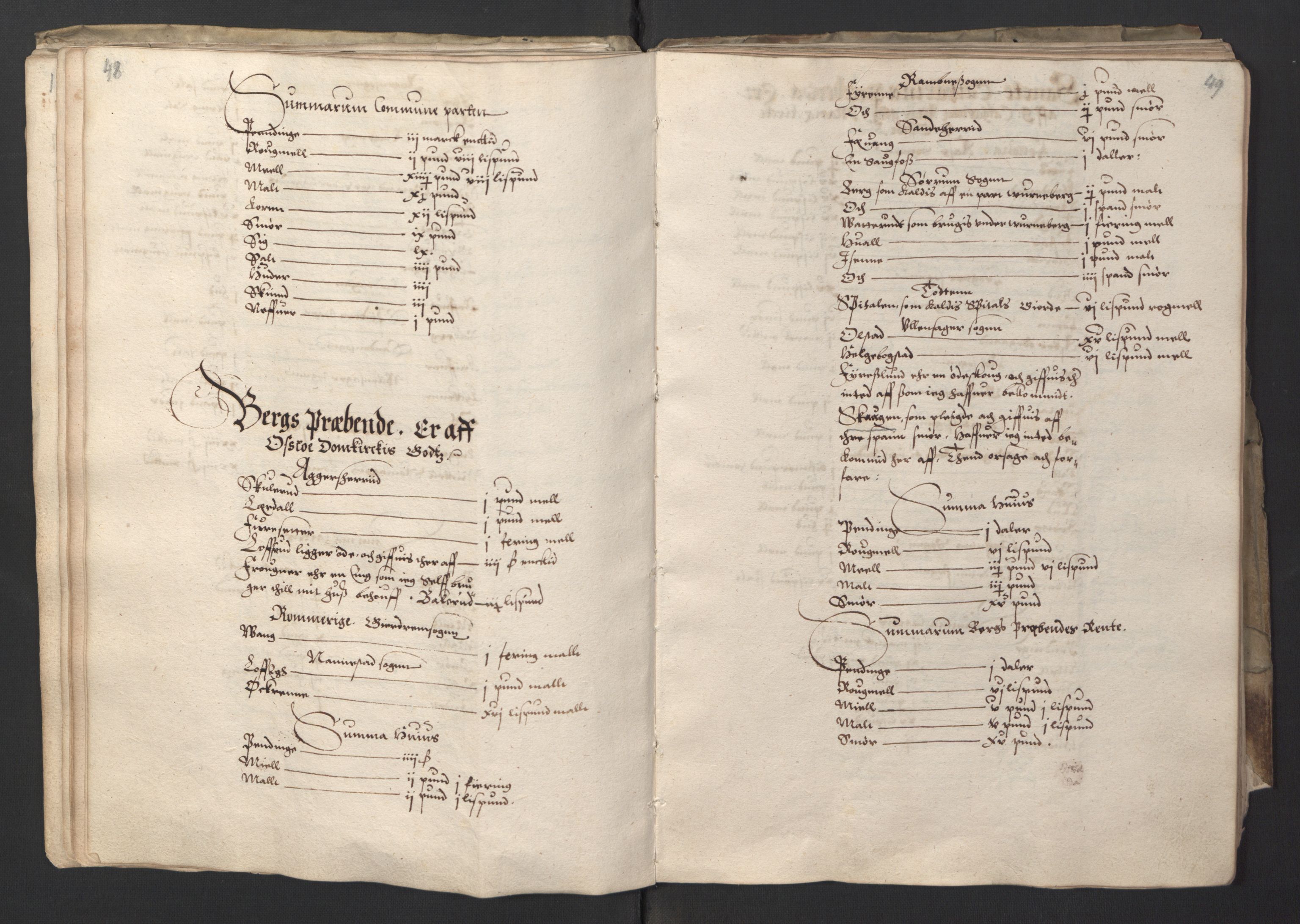 Stattholderembetet 1572-1771, AV/RA-EA-2870/Ek/L0001/0001: Jordebøker før 1624 og til utligning av garnisonsskatt 1624-1626: / Jordebok for Oslo kapitel, 1595, s. 30