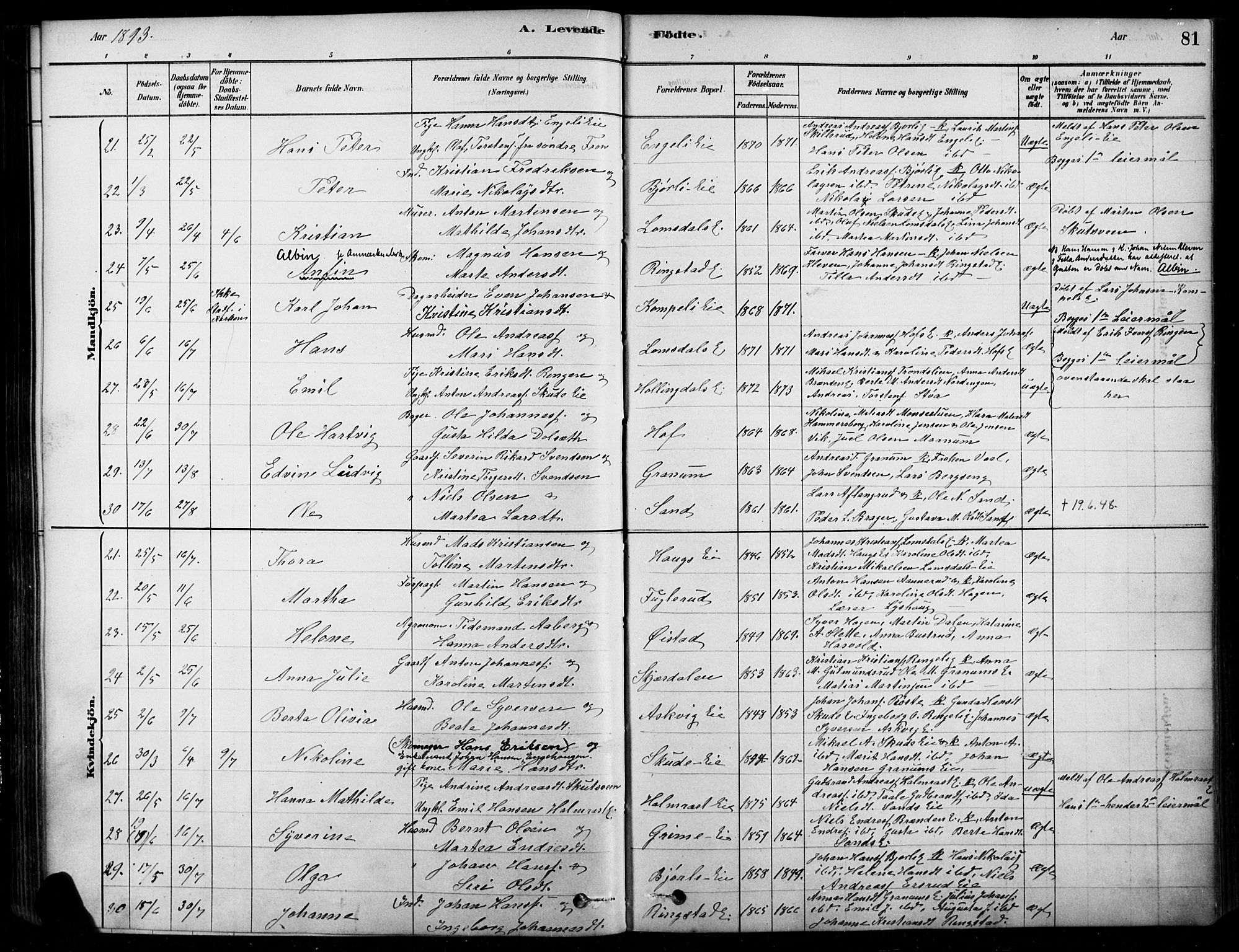 Søndre Land prestekontor, AV/SAH-PREST-122/K/L0003: Ministerialbok nr. 3, 1878-1894, s. 81