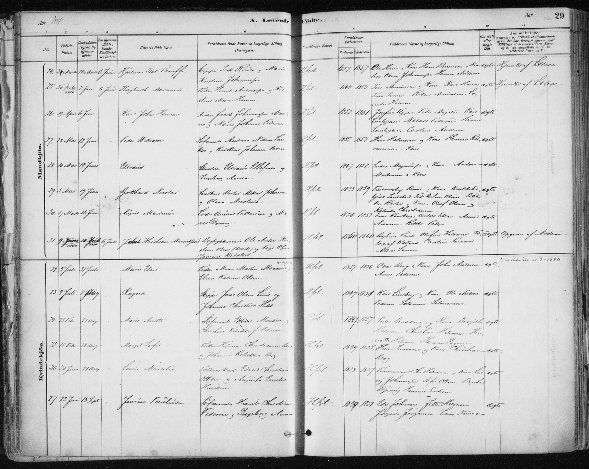 Hammerfest sokneprestkontor, AV/SATØ-S-1347/H/Ha/L0008.kirke: Ministerialbok nr. 8, 1878-1889, s. 29