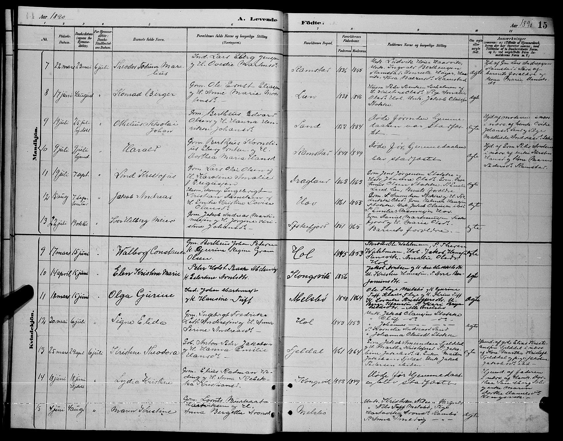 Ministerialprotokoller, klokkerbøker og fødselsregistre - Nordland, AV/SAT-A-1459/865/L0931: Klokkerbok nr. 865C03, 1885-1901, s. 15