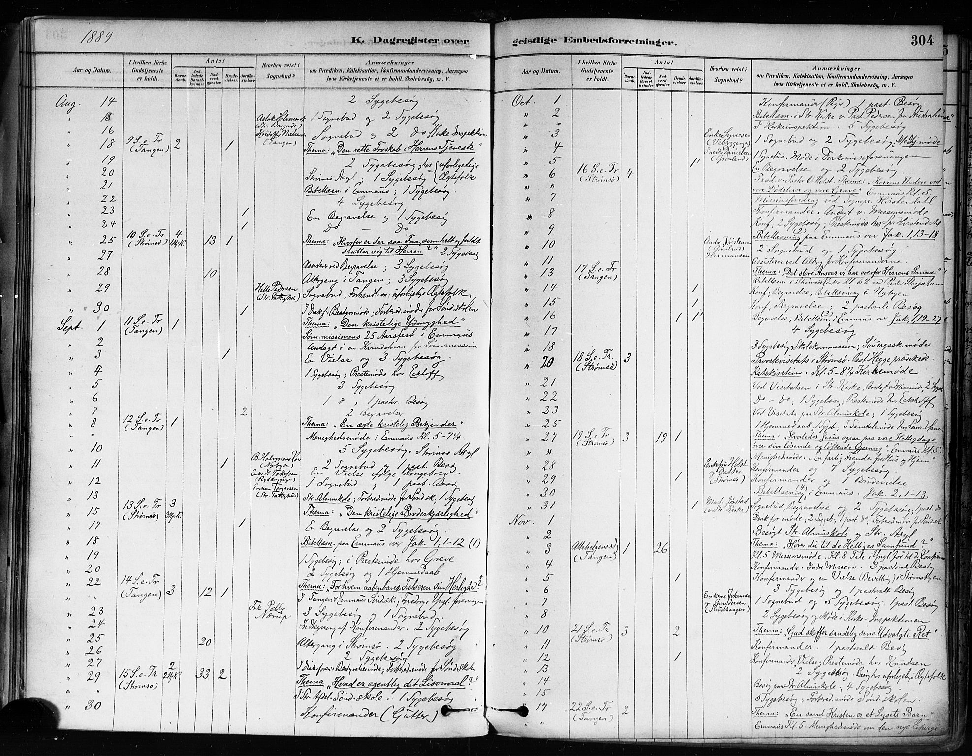 Strømsø kirkebøker, AV/SAKO-A-246/F/Fa/L0022: Ministerialbok nr. I 22, 1879-1899, s. 304