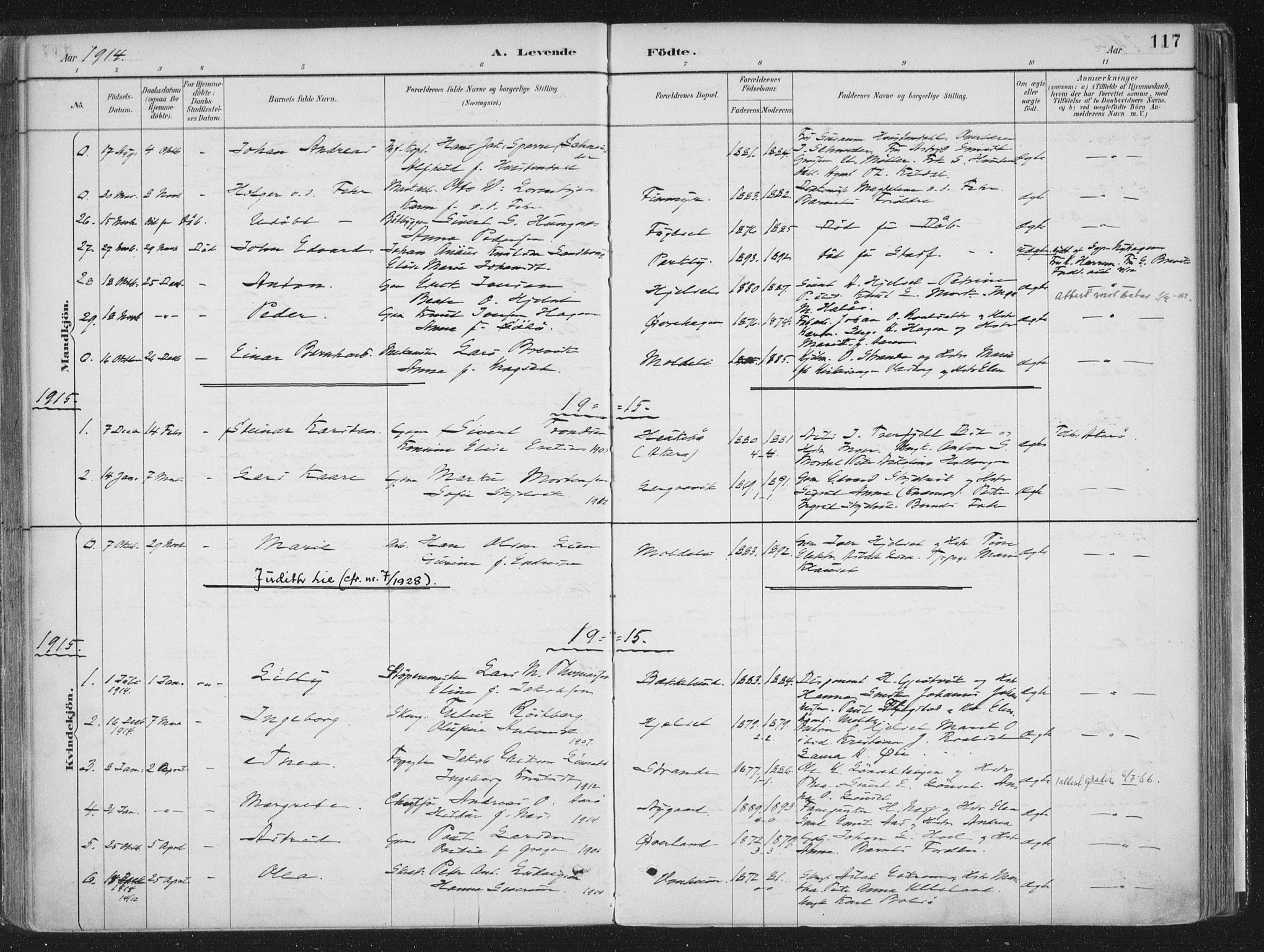 Ministerialprotokoller, klokkerbøker og fødselsregistre - Møre og Romsdal, AV/SAT-A-1454/555/L0658: Ministerialbok nr. 555A09, 1887-1917, s. 117