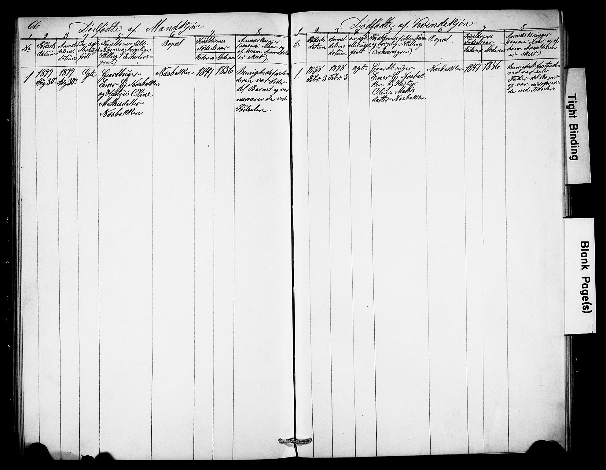 Misjonsforbundet, AV/SAH-DIS-008/01/L0003: Dissenterprotokoll nr. 3, 1892-1920, s. 66