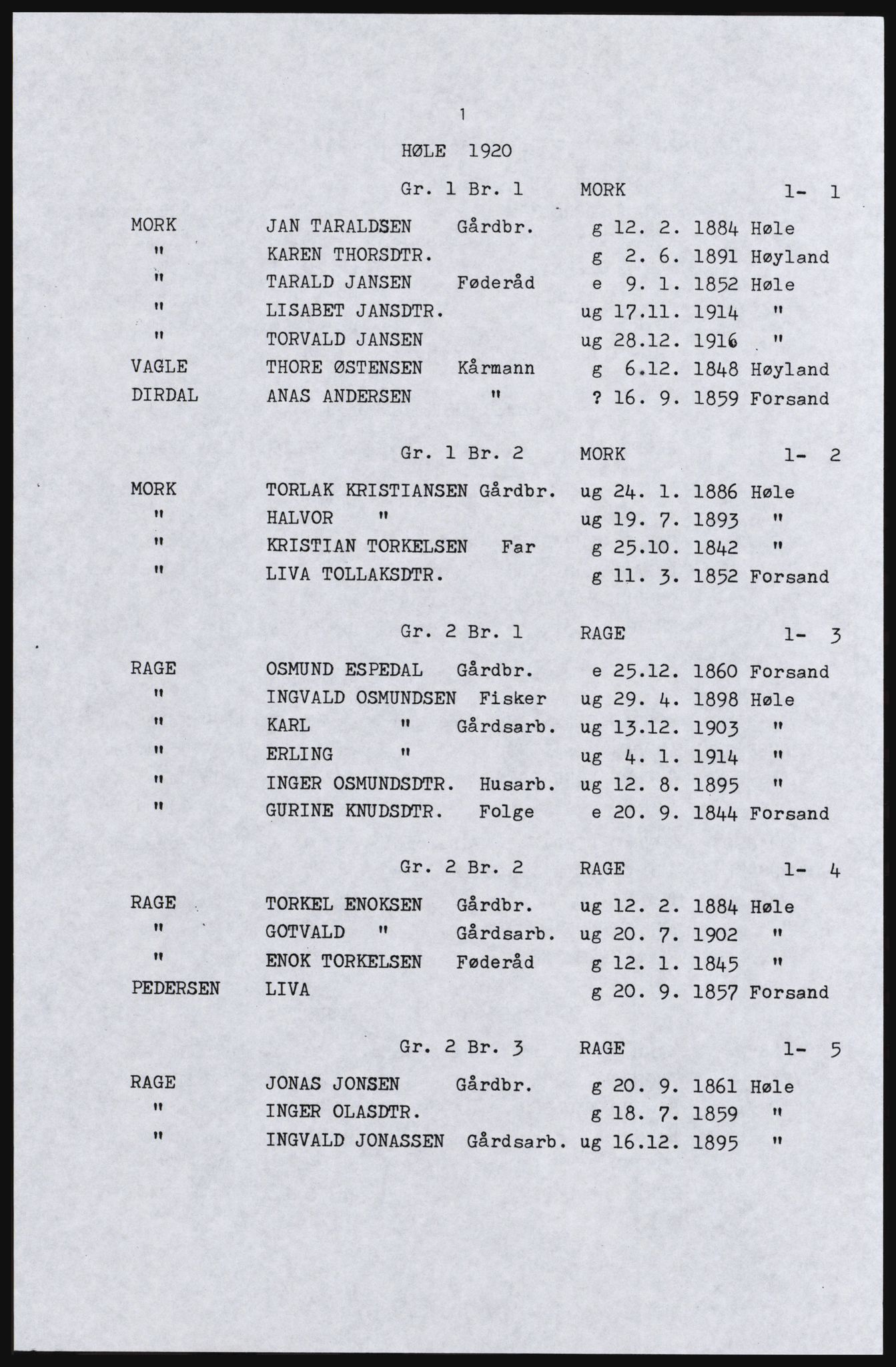 SAST, Avskrift av folketellingen 1920 for Høle herred, 1920, s. 41