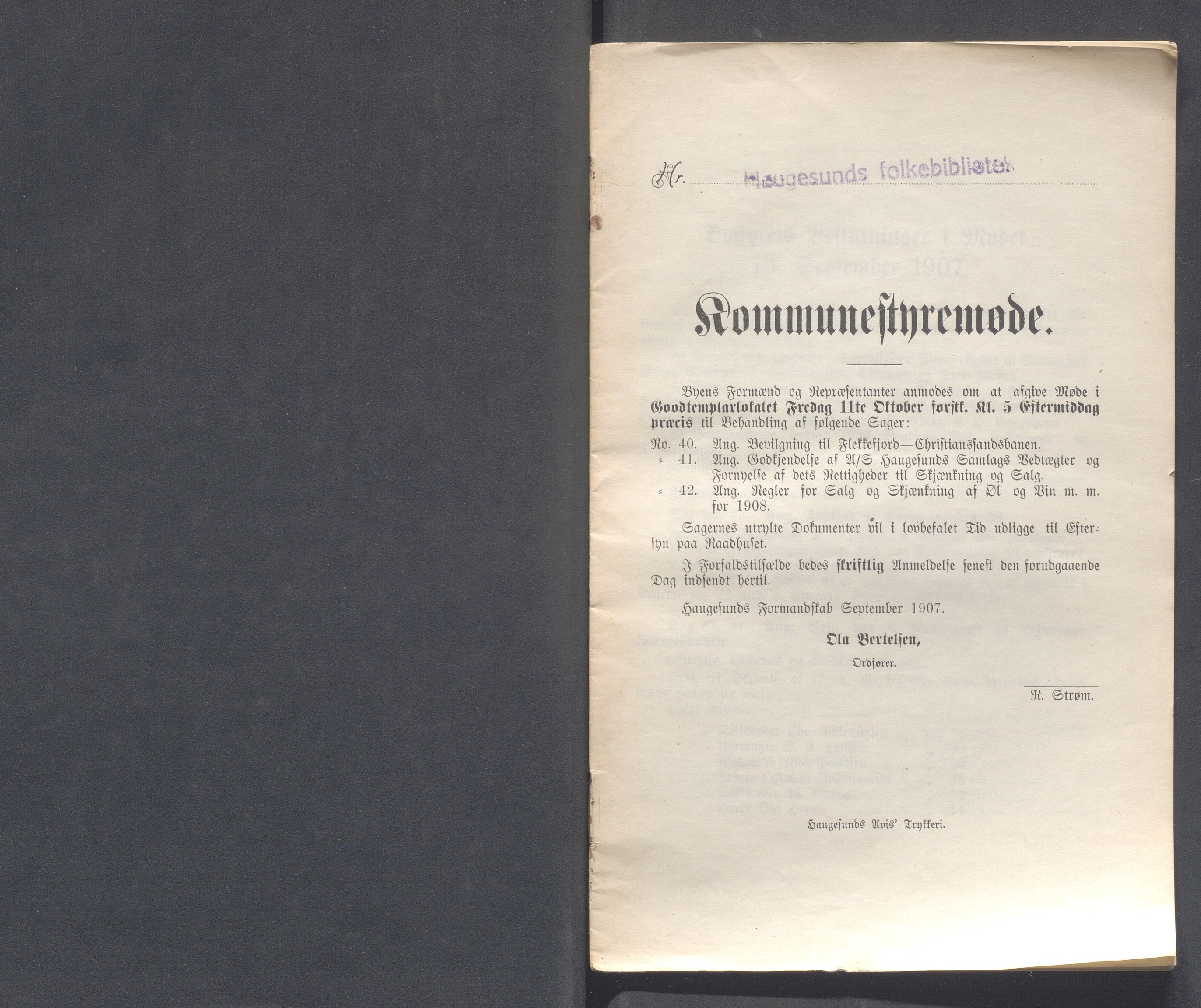 Haugesund kommune - Formannskapet og Bystyret, IKAR/A-740/A/Abb/L0001: Bystyreforhandlinger, 1889-1907, s. 951