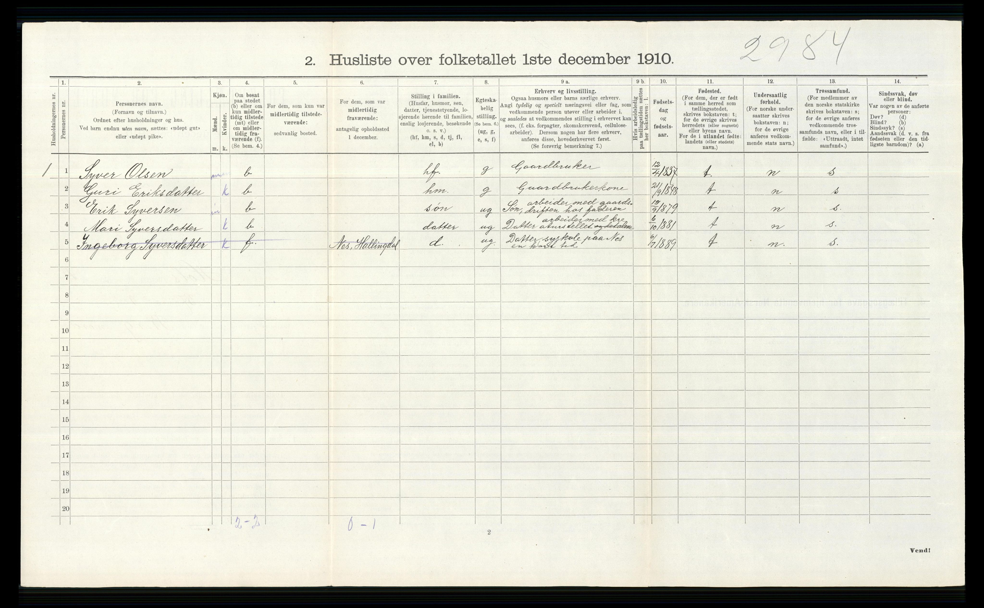 RA, Folketelling 1910 for 0620 Hol herred, 1910, s. 336