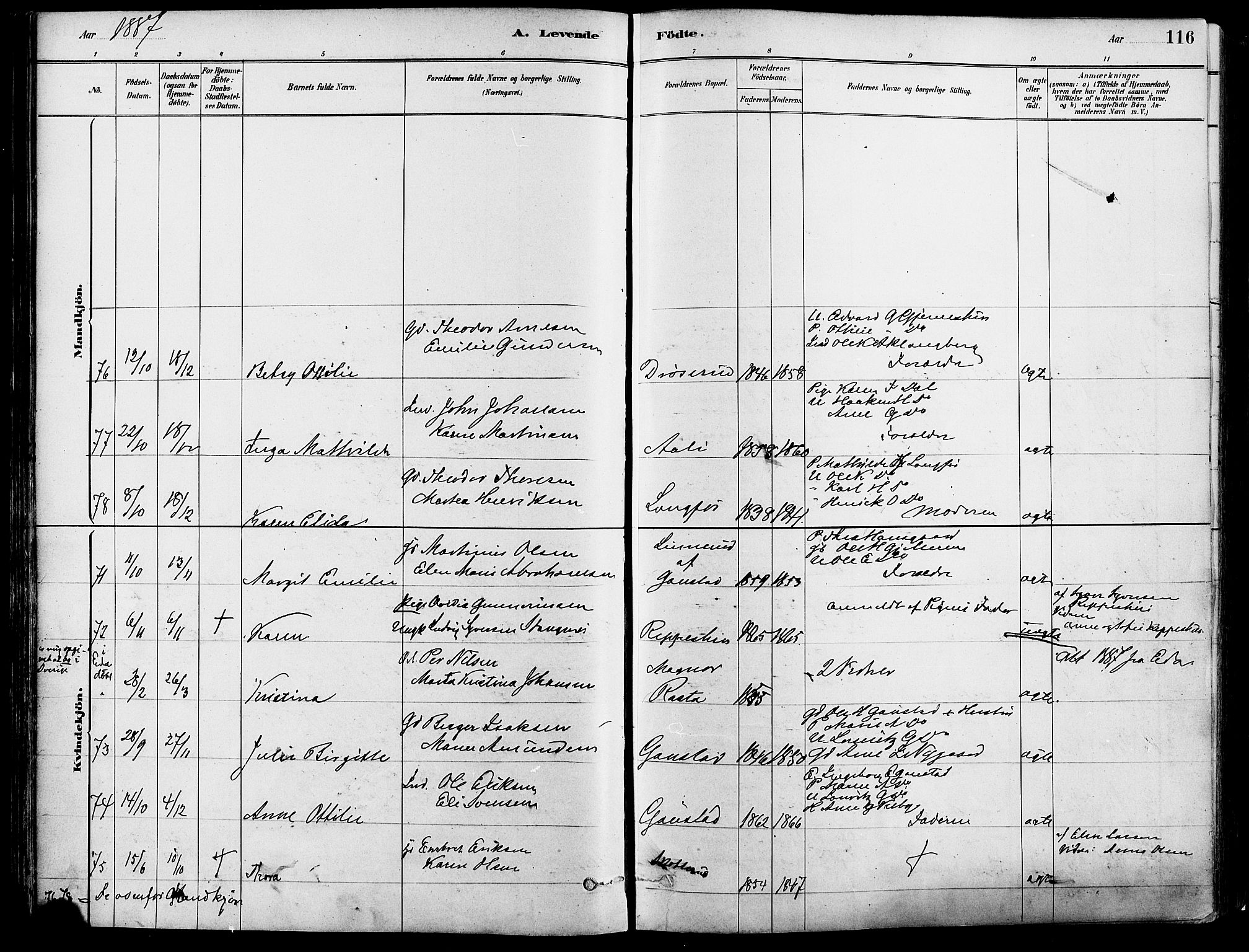 Eidskog prestekontor, SAH/PREST-026/H/Ha/Haa/L0003: Ministerialbok nr. 3, 1879-1892, s. 116