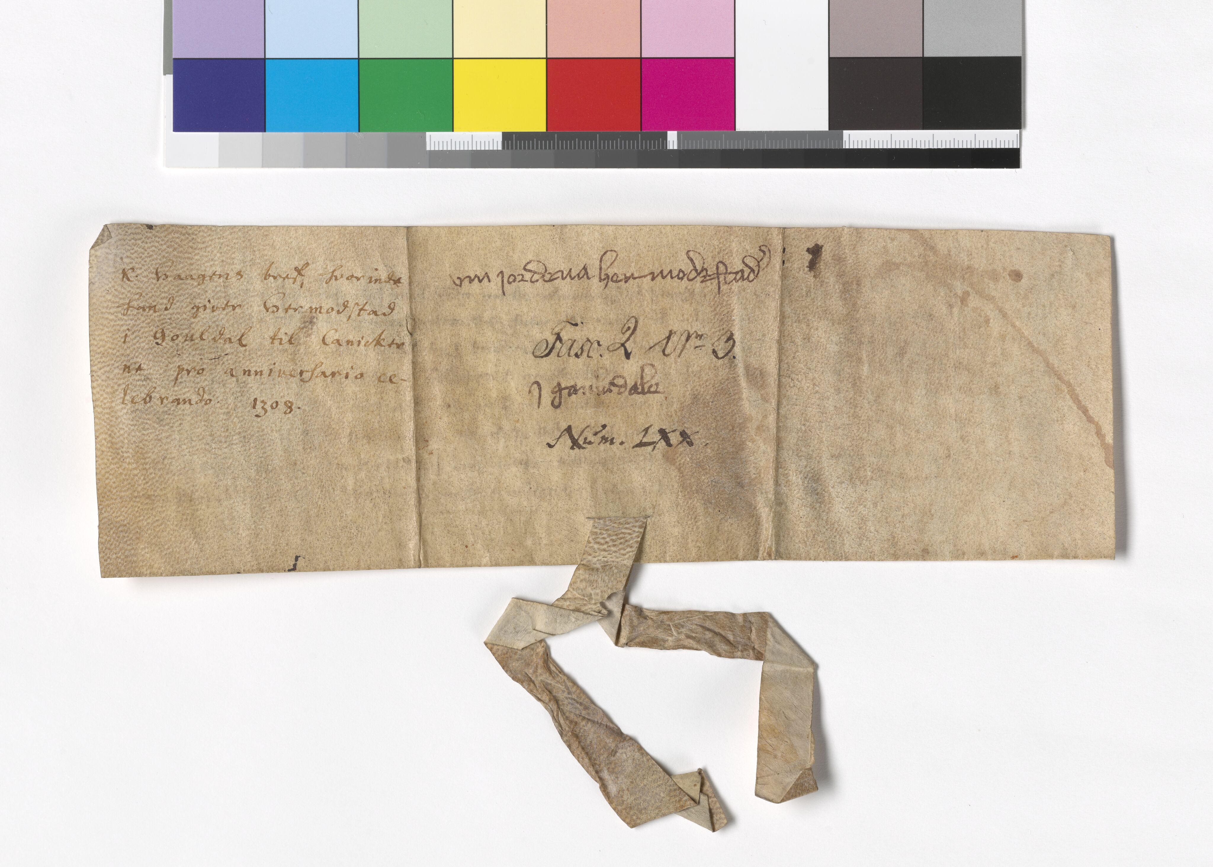 Riksarkivets diplomsamling, AV/RA-EA-5965/F05/L0005: NRA AM fasc. 2 nr. 3-6, 1308-1311, s. 3