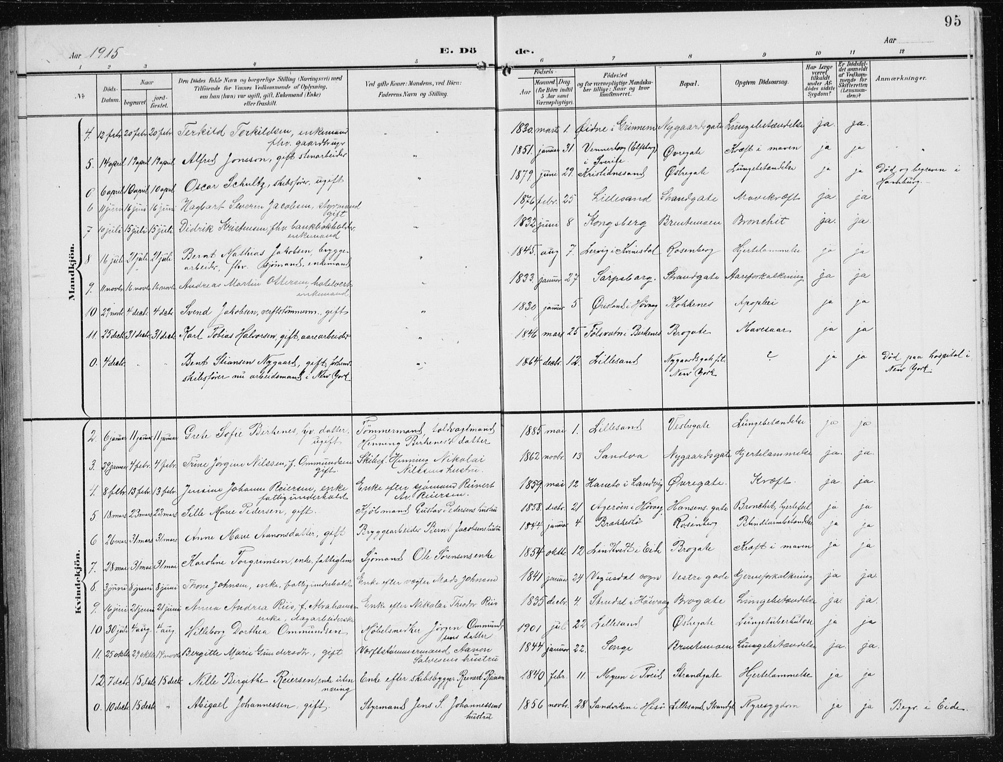 Vestre Moland sokneprestkontor, AV/SAK-1111-0046/F/Fb/Fba/L0002: Klokkerbok nr. B 2, 1904-1934, s. 95