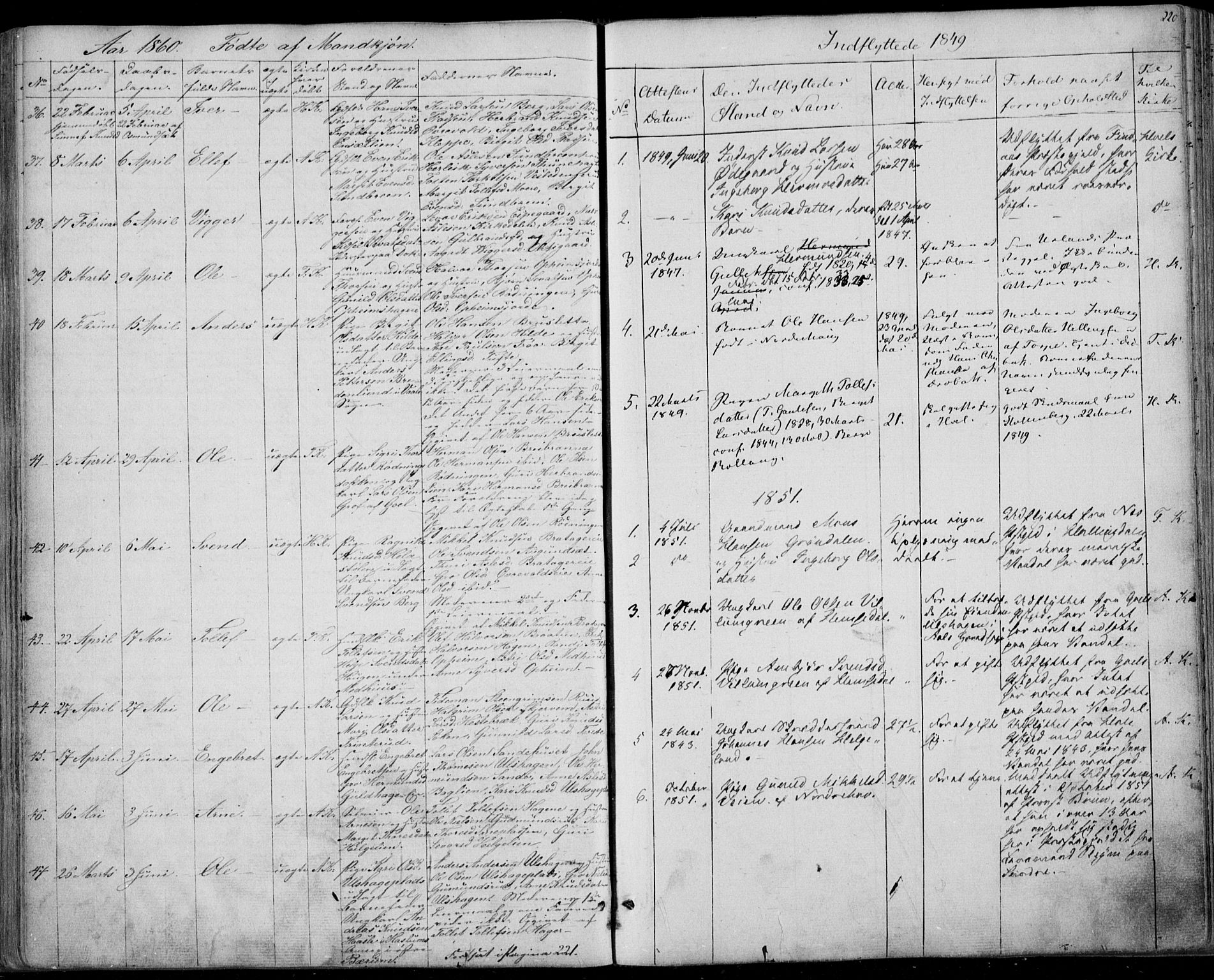 Ål kirkebøker, AV/SAKO-A-249/F/Fa/L0006: Ministerialbok nr. I 6, 1849-1864, s. 220
